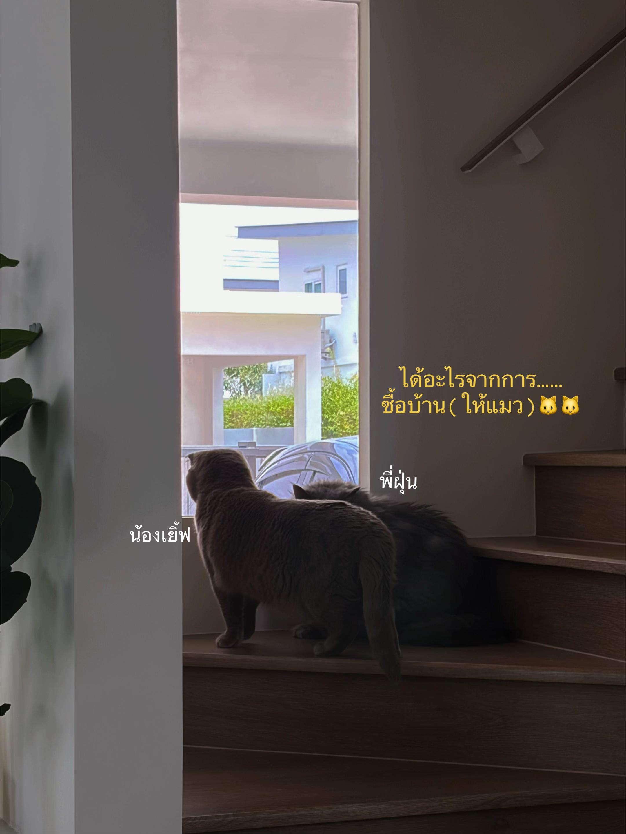 @เพื่อนเรียกนุ๊กเวย์