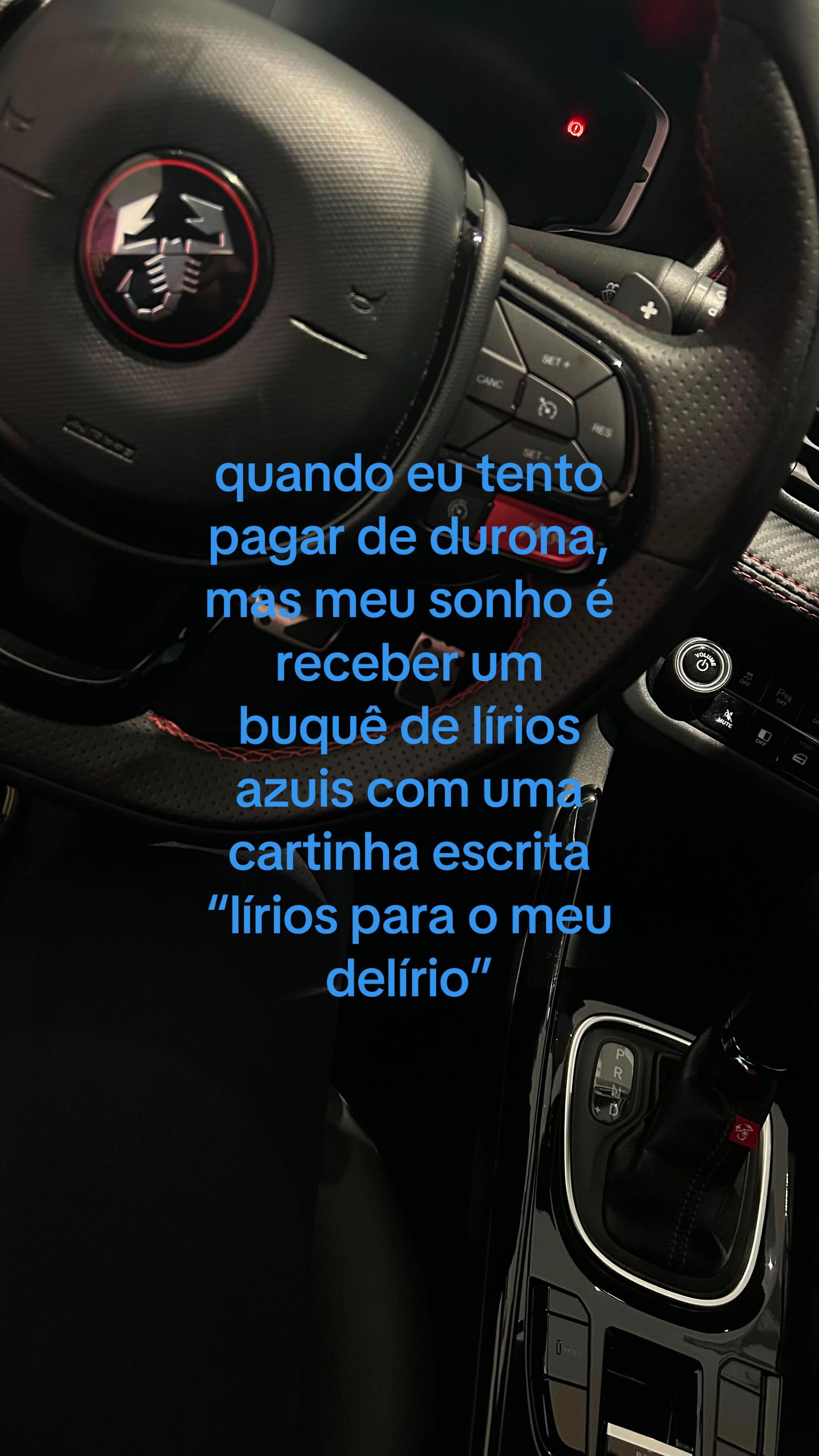 @veecarcanholo