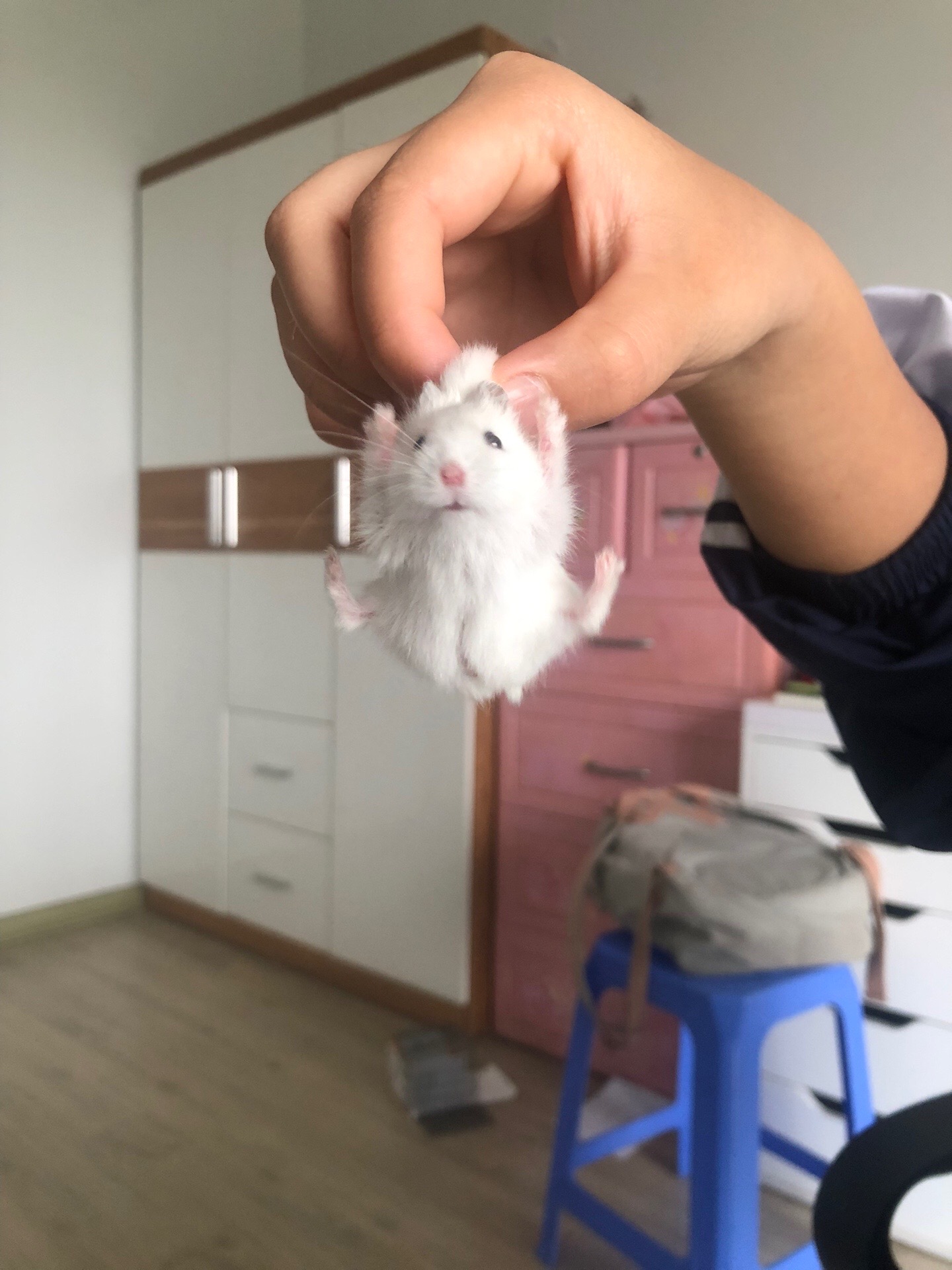 @Kidra Nguyễn