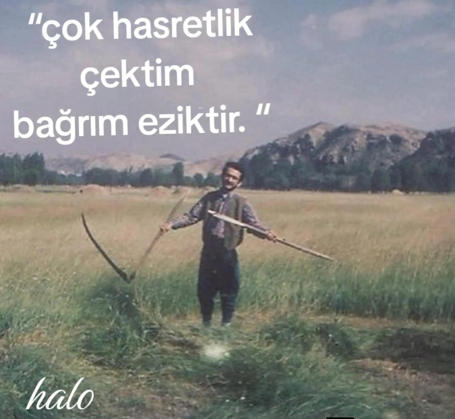 @Halo