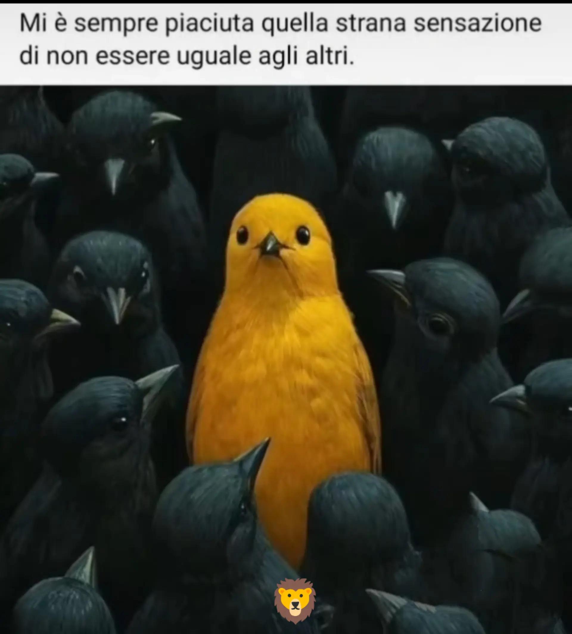 @Staje senza penzier🔥