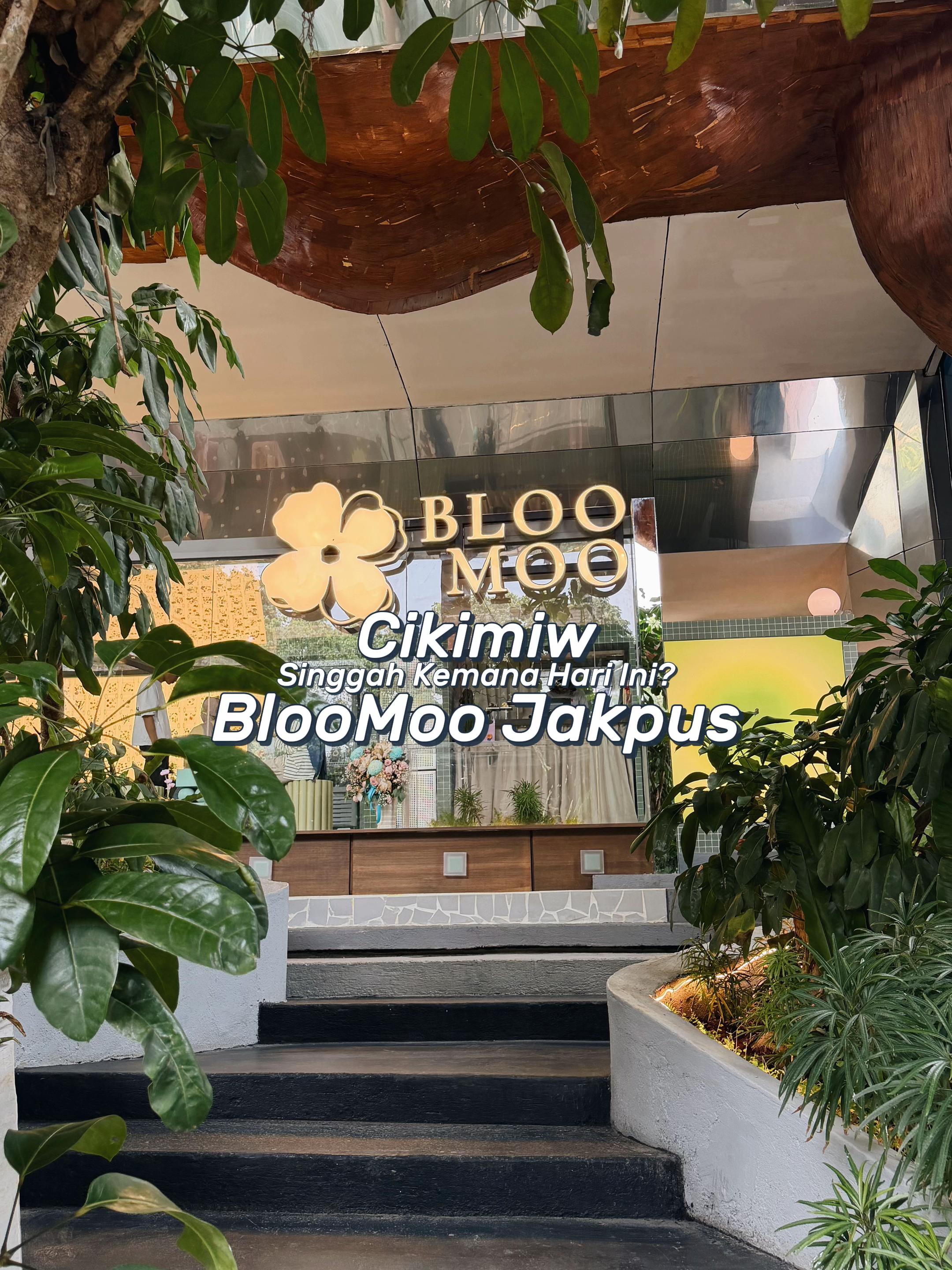 @Cikimiww