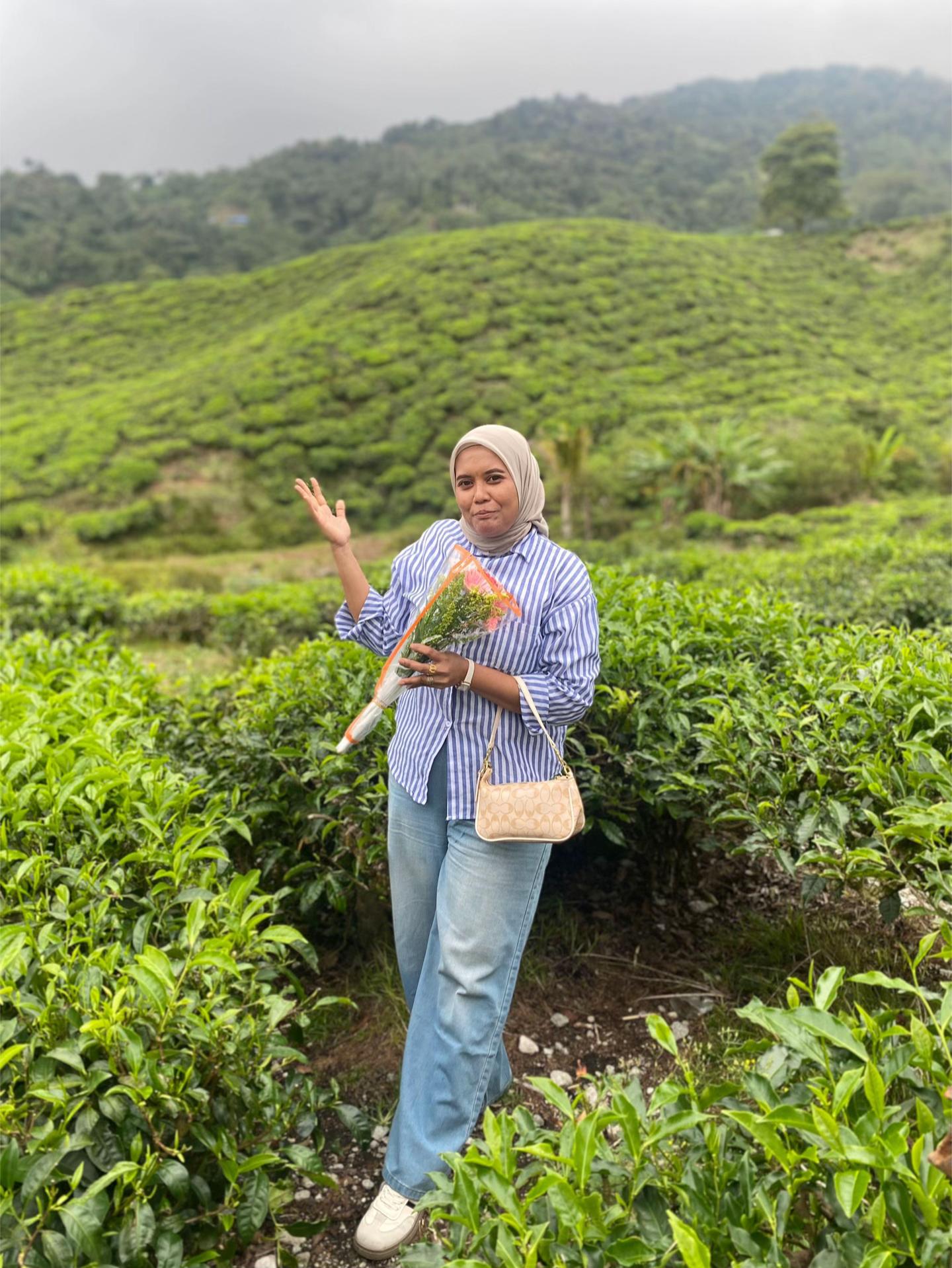 @Miera edora