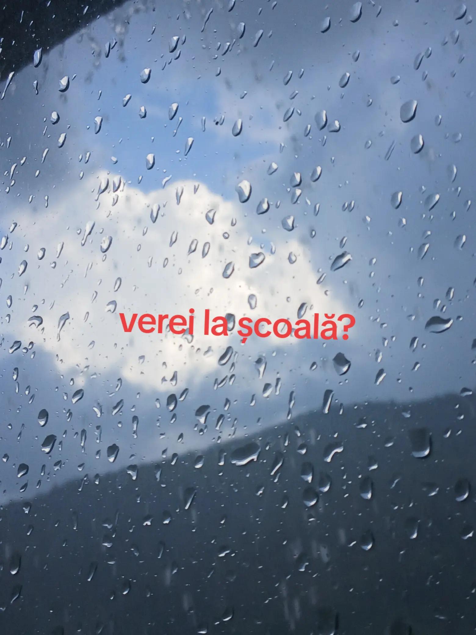 @Delia