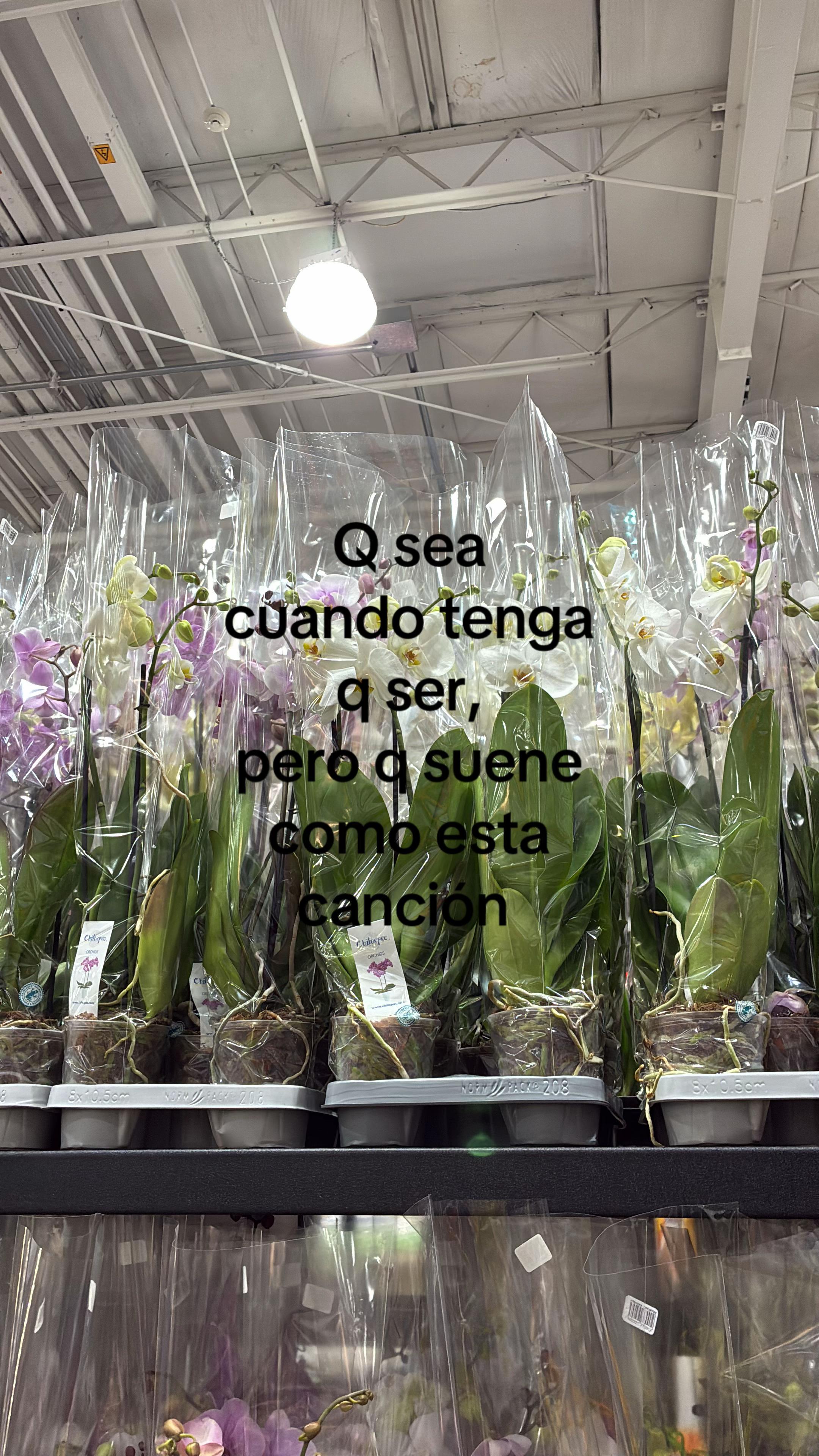 @๐