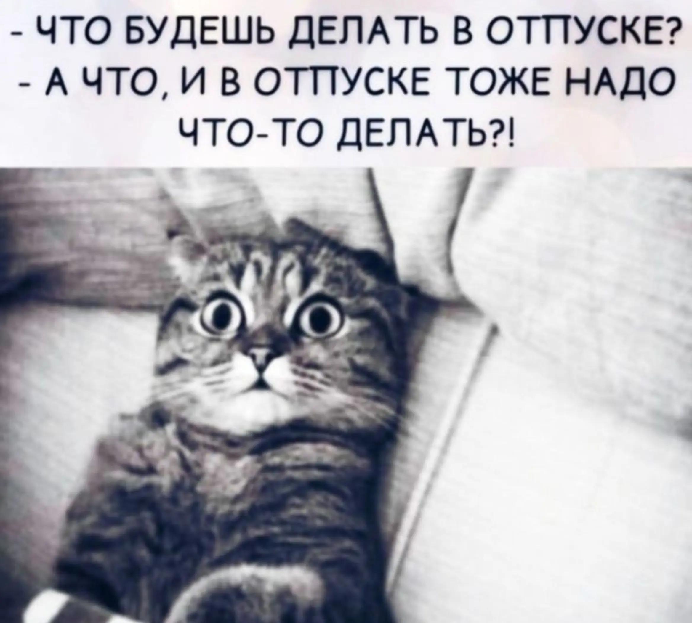 @goluboglazka_ya01