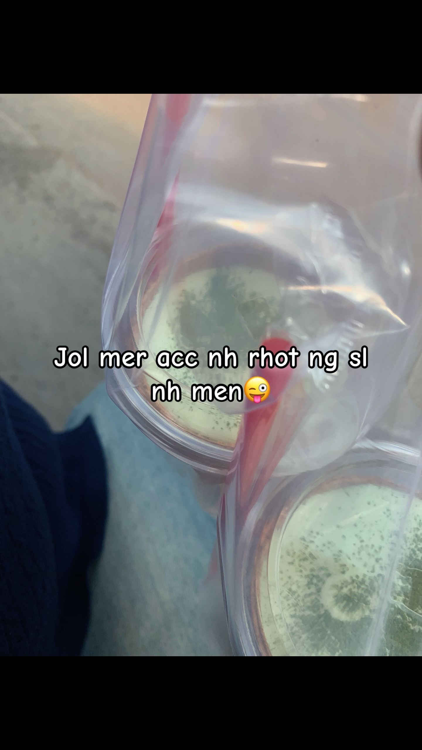@12.November