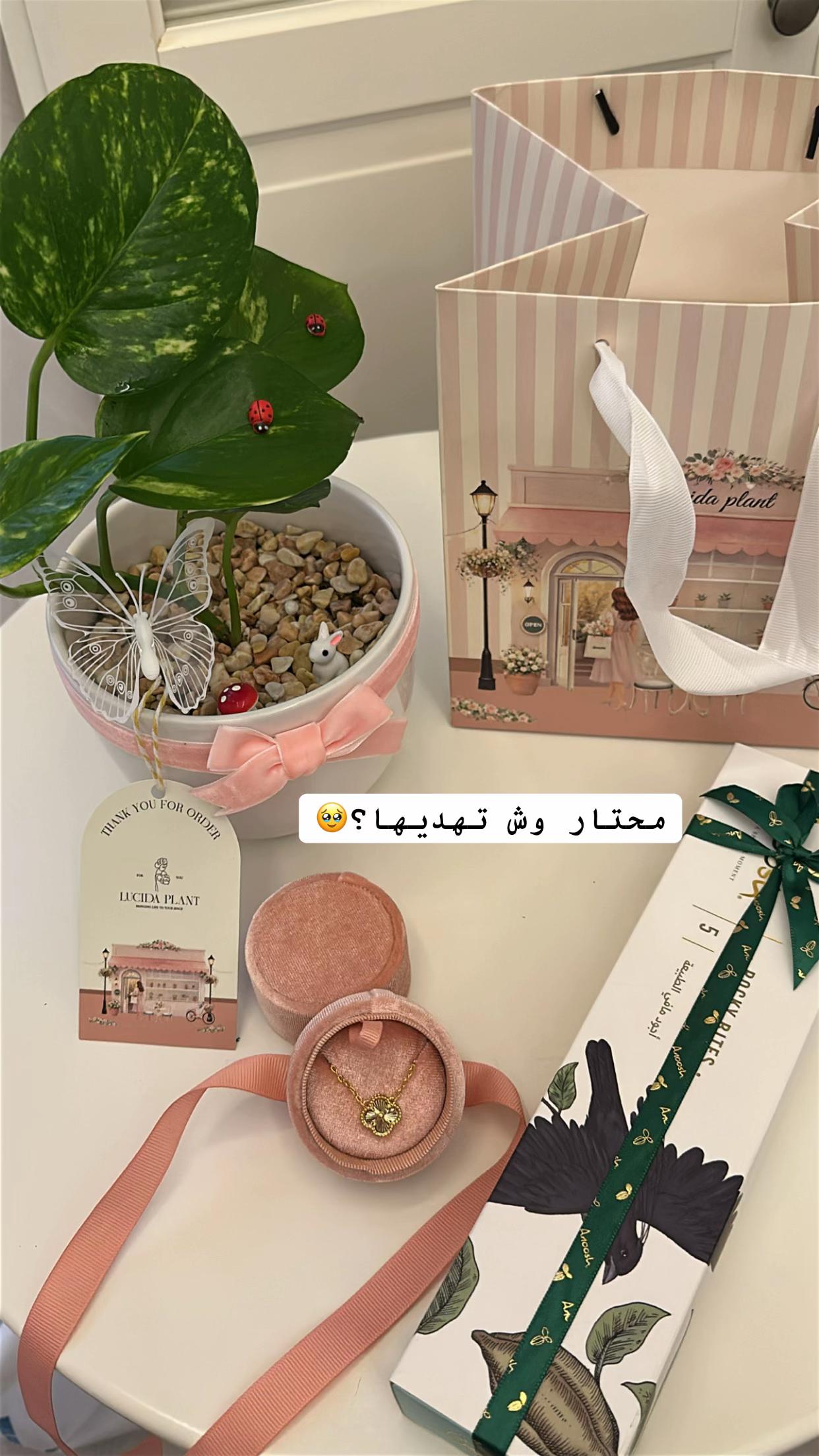 @لوسيـدا-الباحة🪴