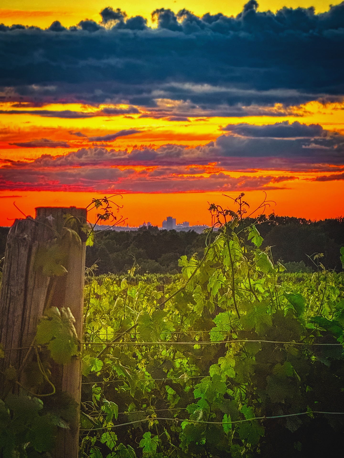 @ThisIsROC - Rochester NY