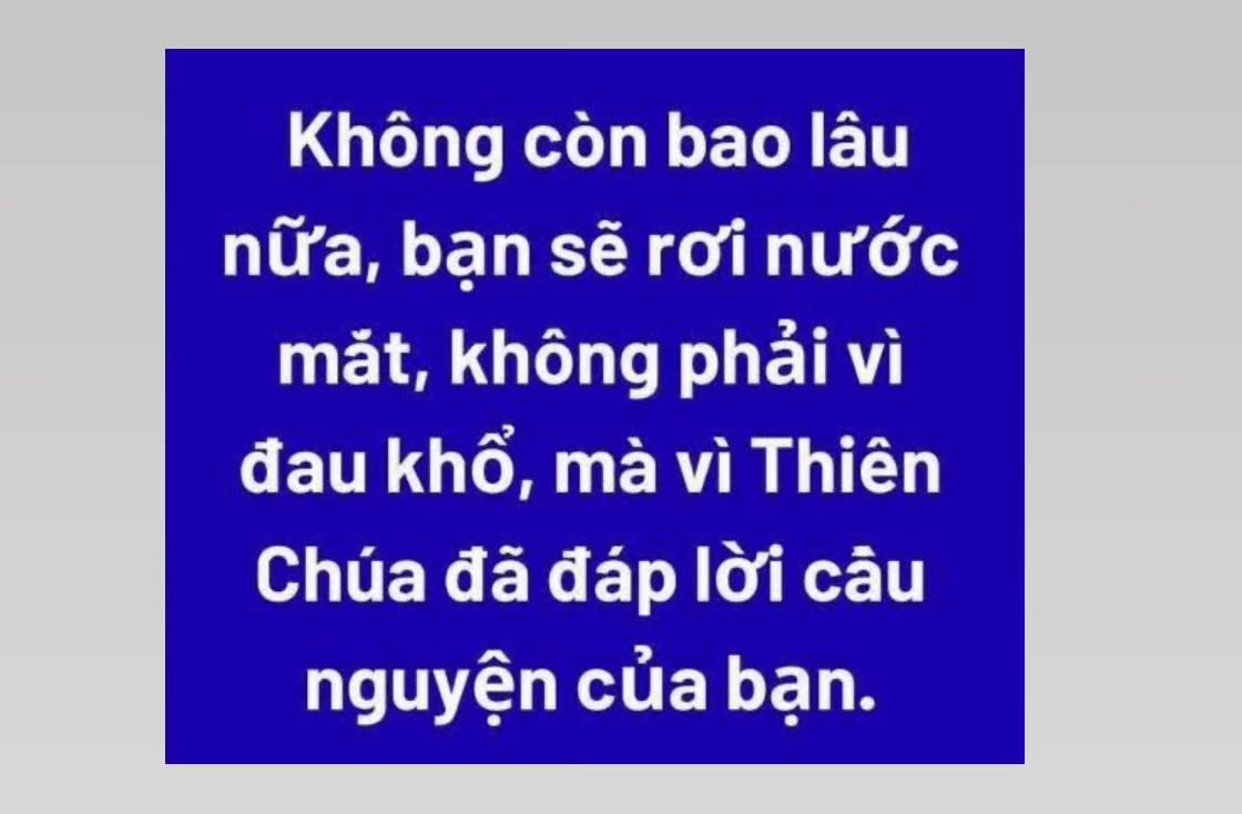 @Anne Phuong