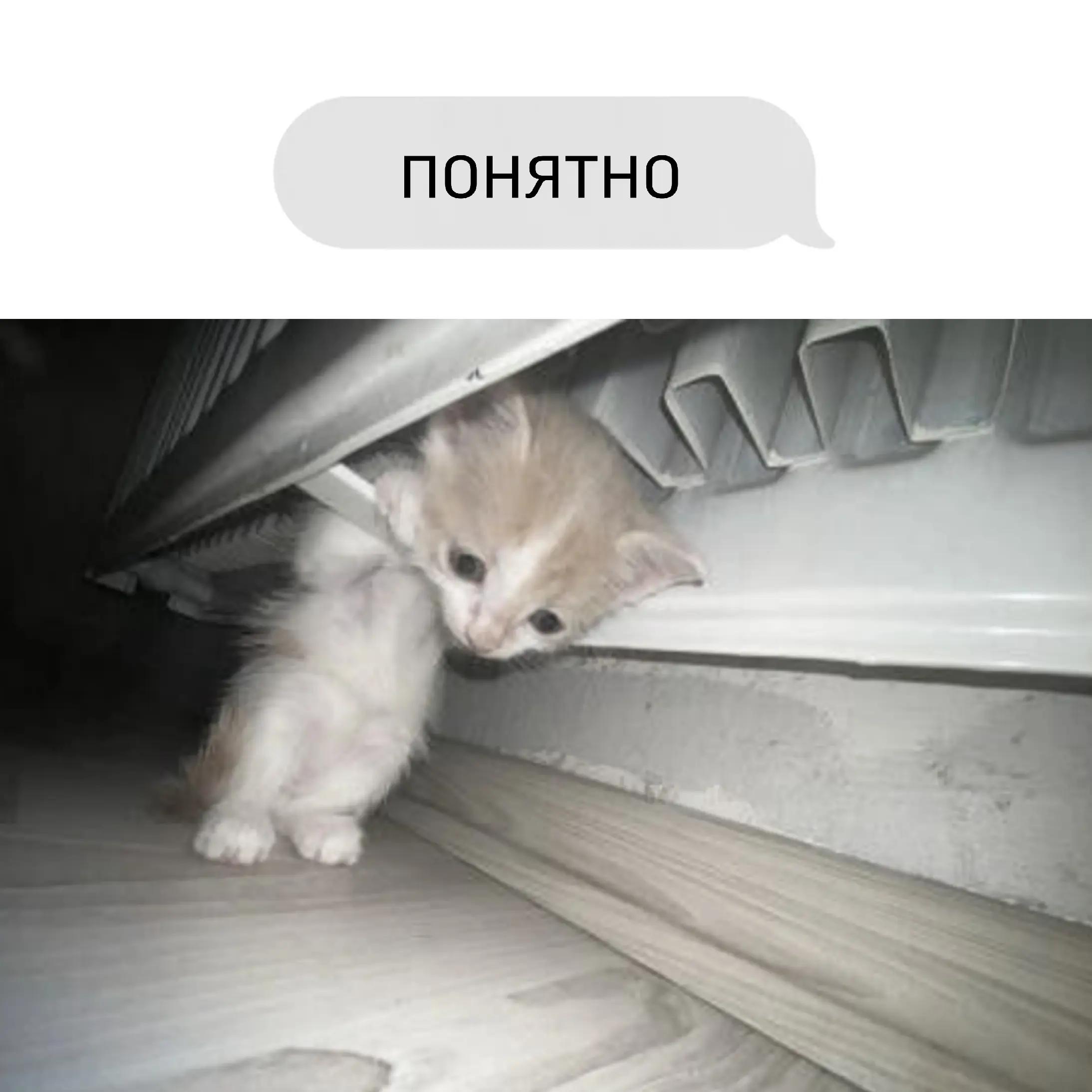 @мама дед инсайдов