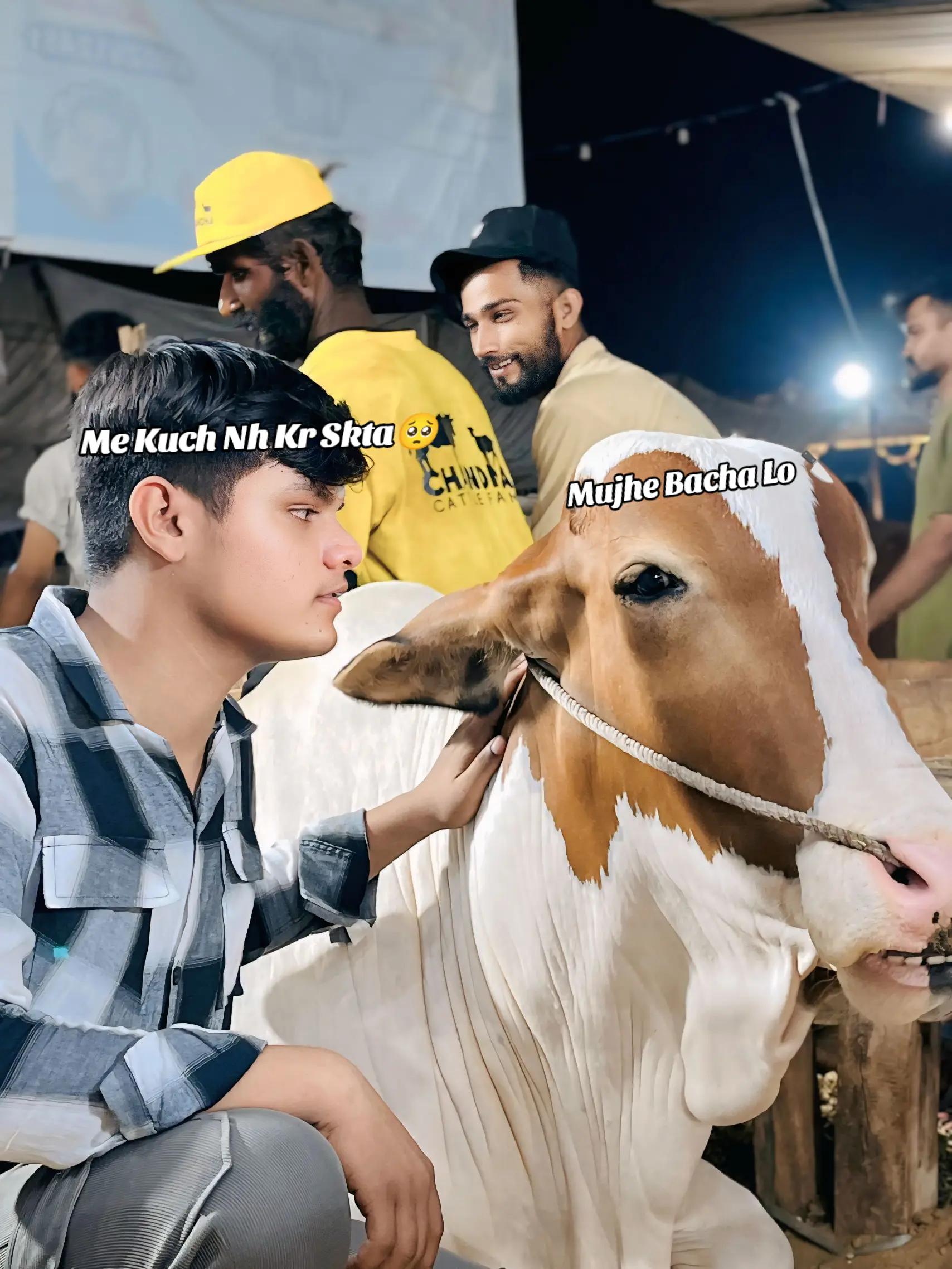 @𝐌𝐫⚡حسیب&harr;️👅🫵