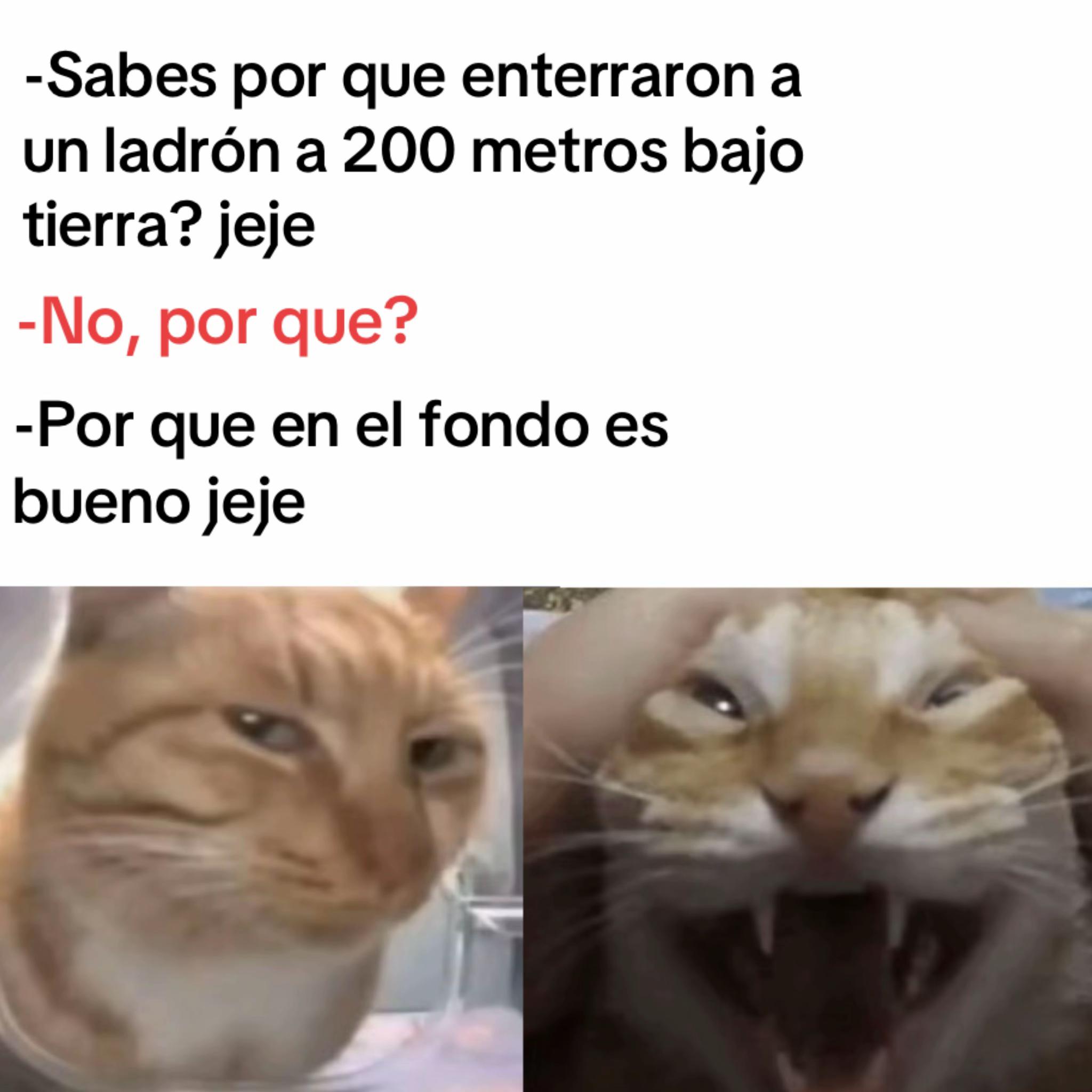 @momazosnegromarronjeje
