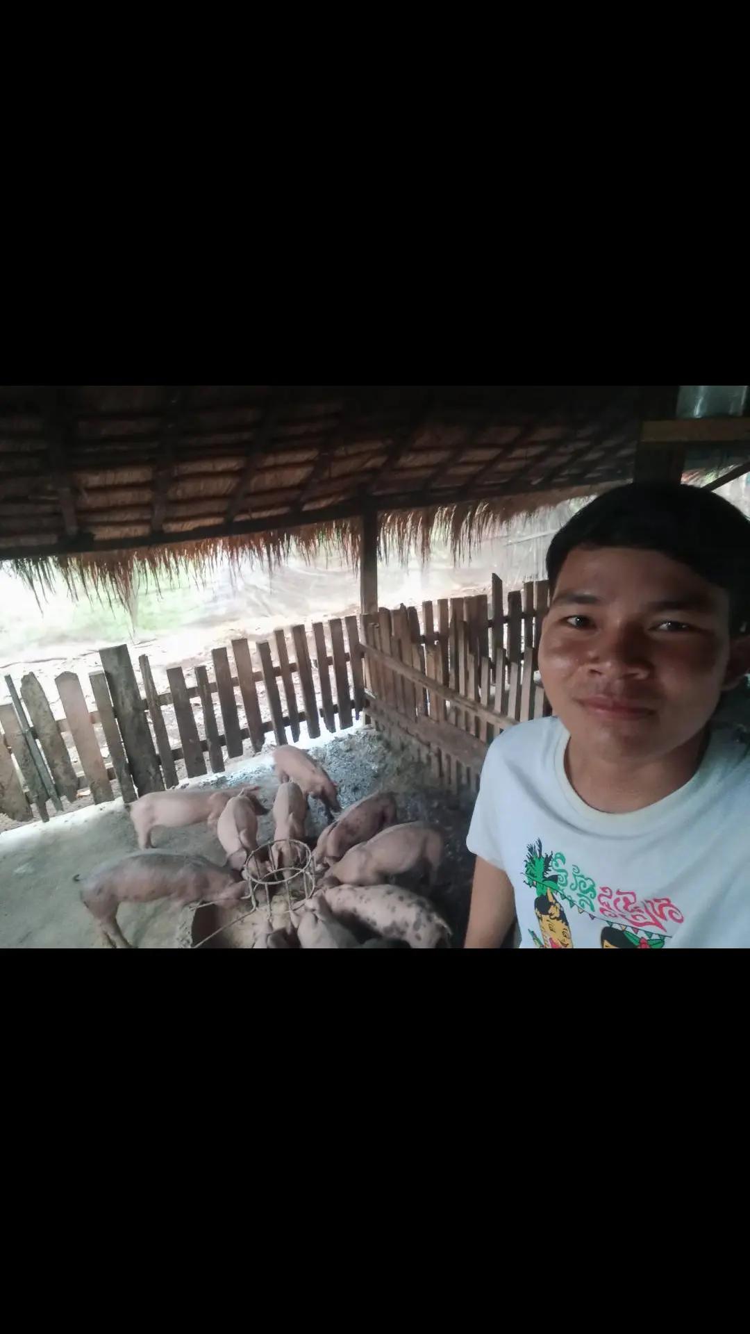 @chaen phaep