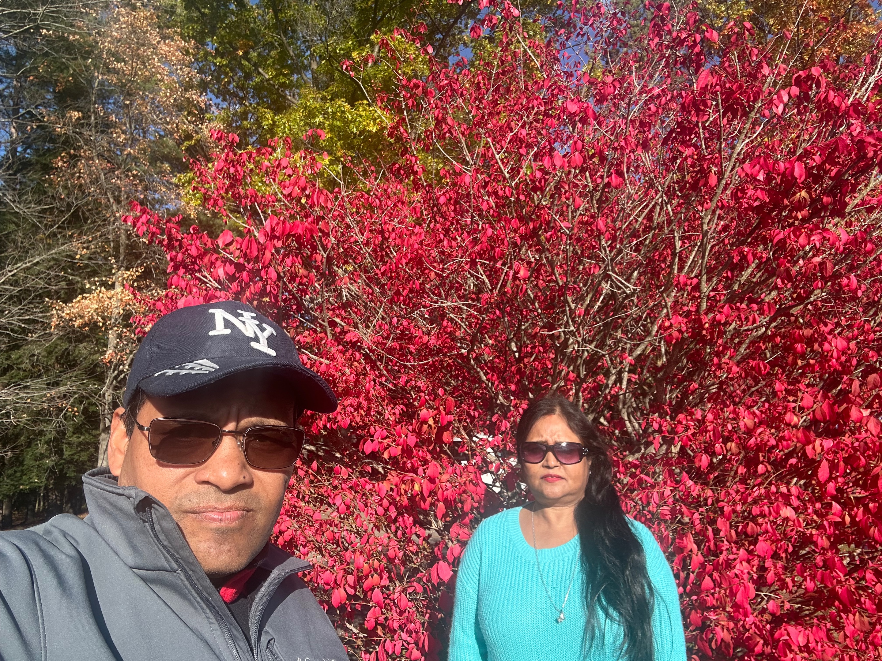 @Meena Bista