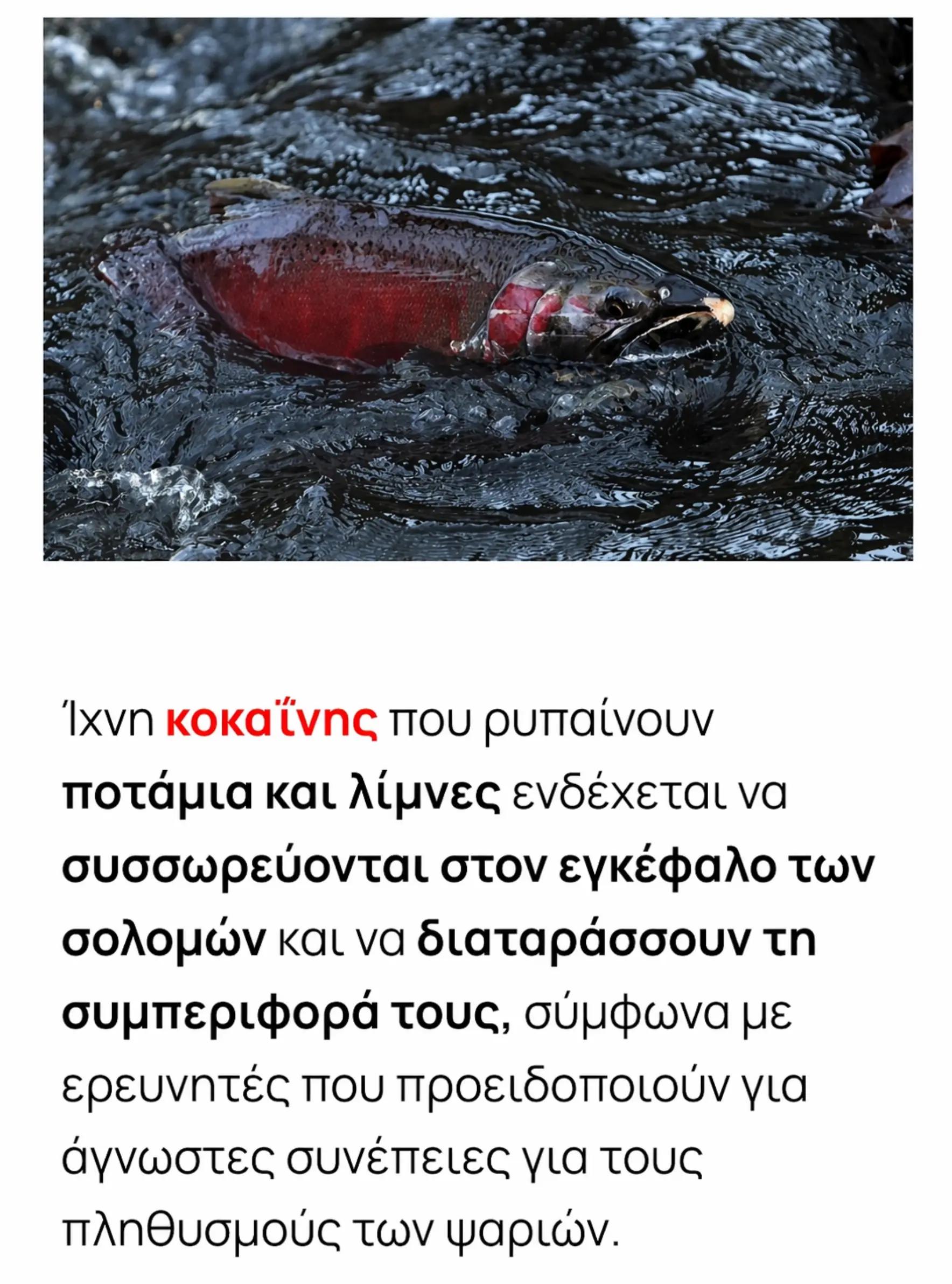 @eurokoumparos