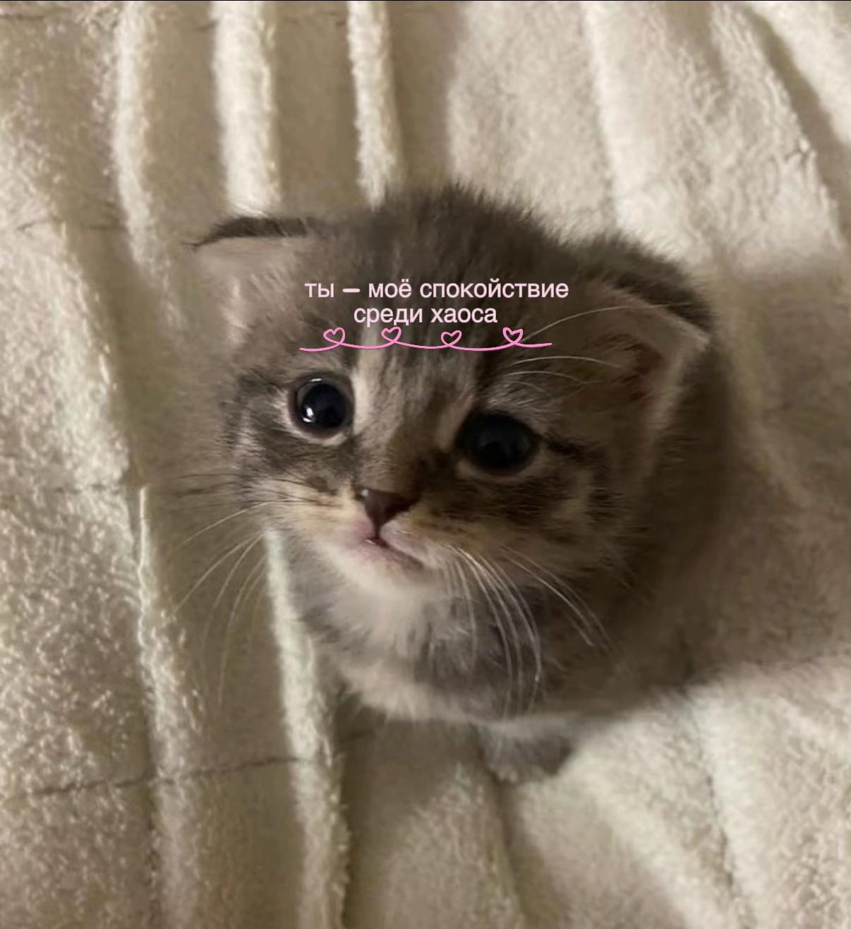@цитаты/эдиты