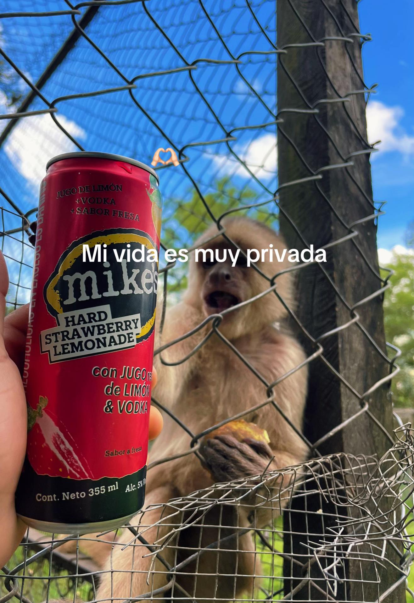 @Alexander Vasquez