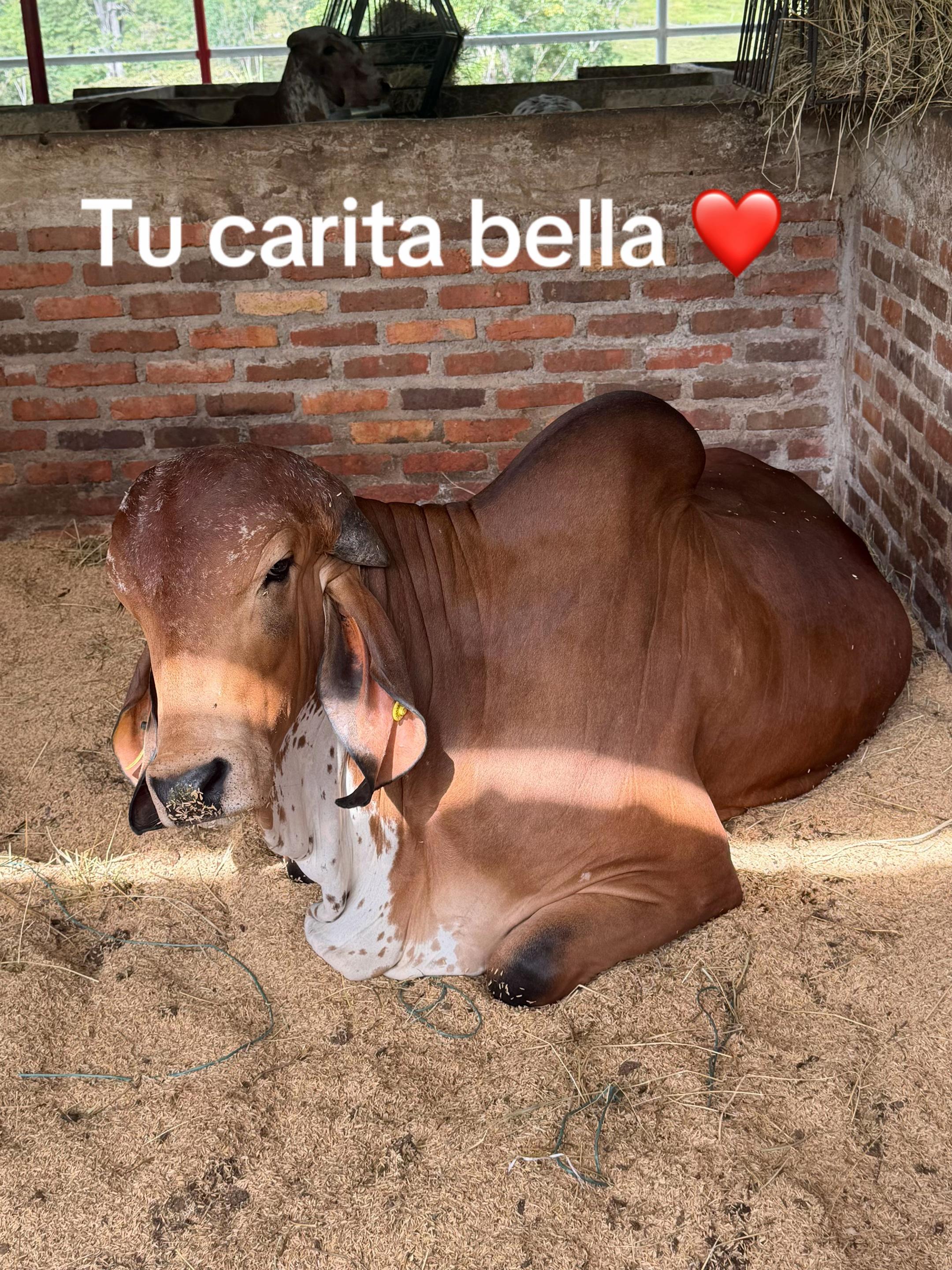 @🩶_De.concreto