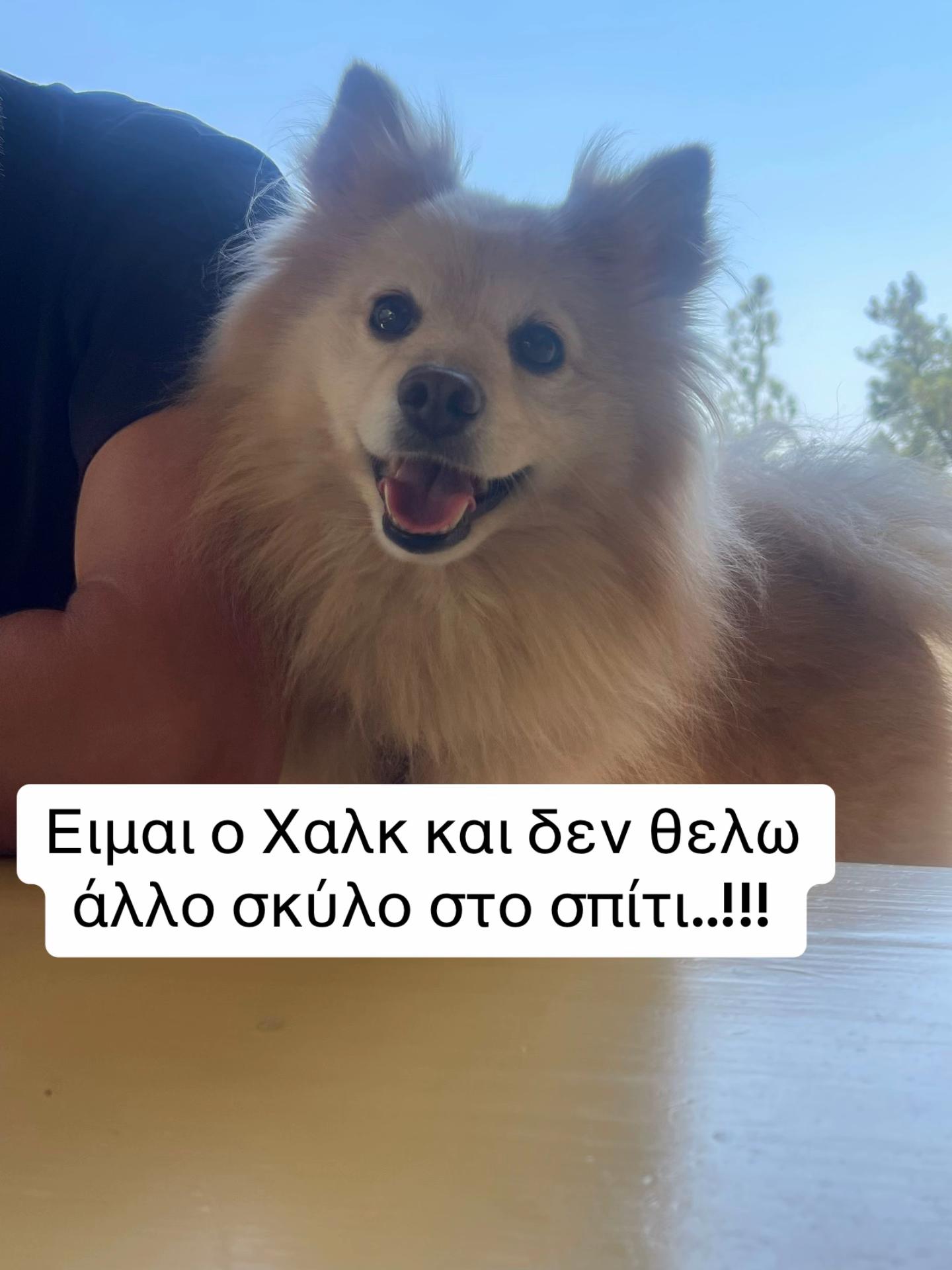 @Fotis Nikou