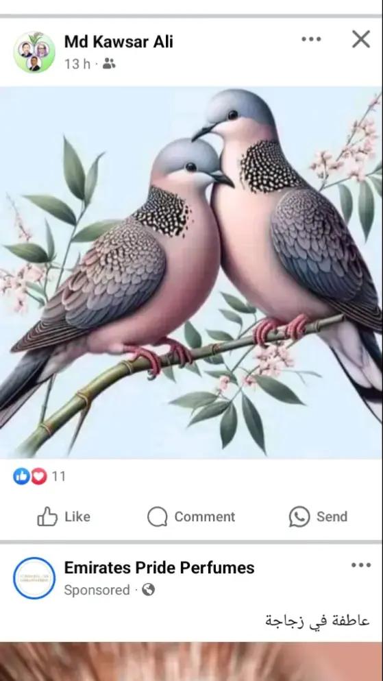 @একলা জীবন আমার❤️❤️
