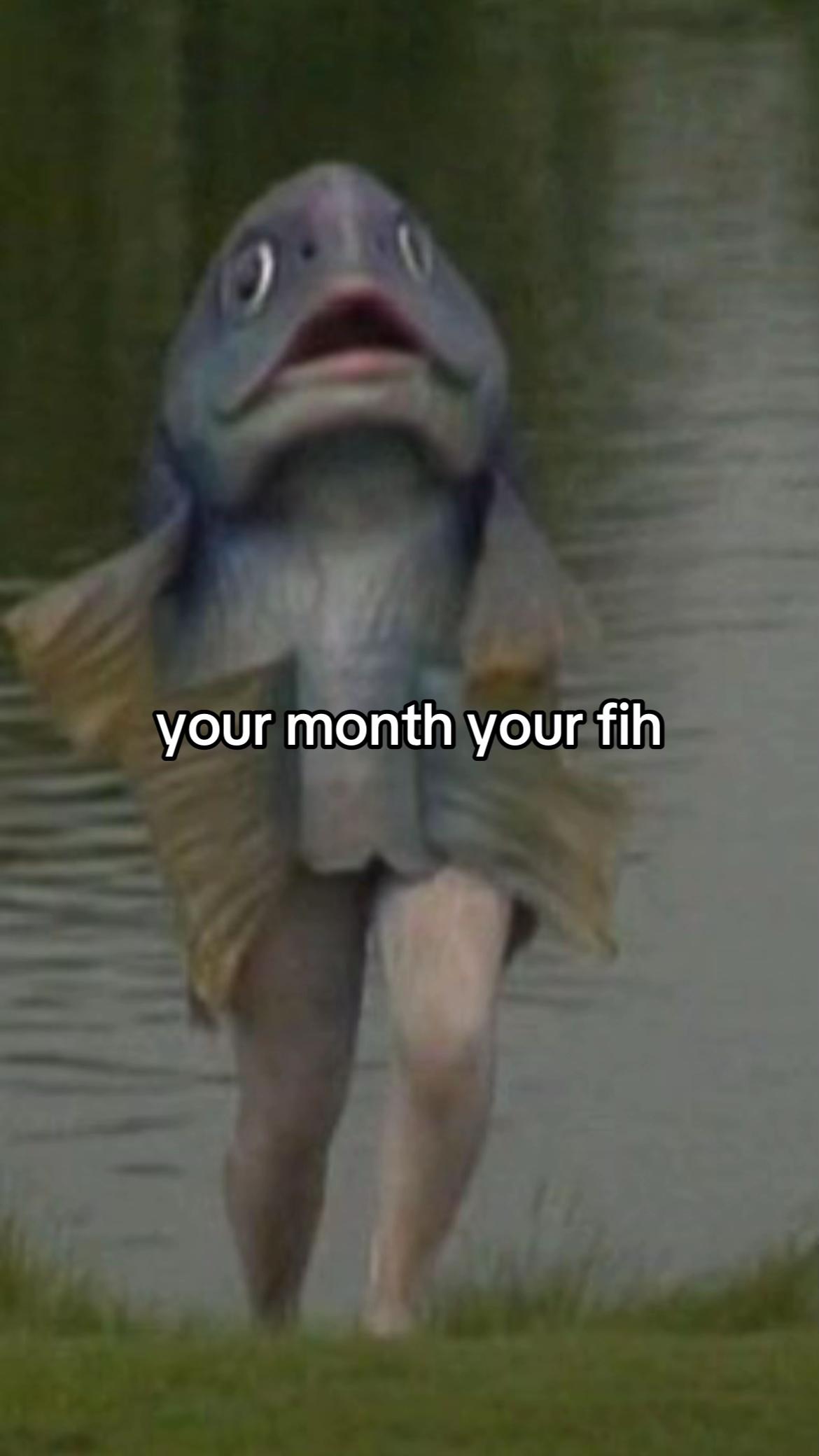 @fih