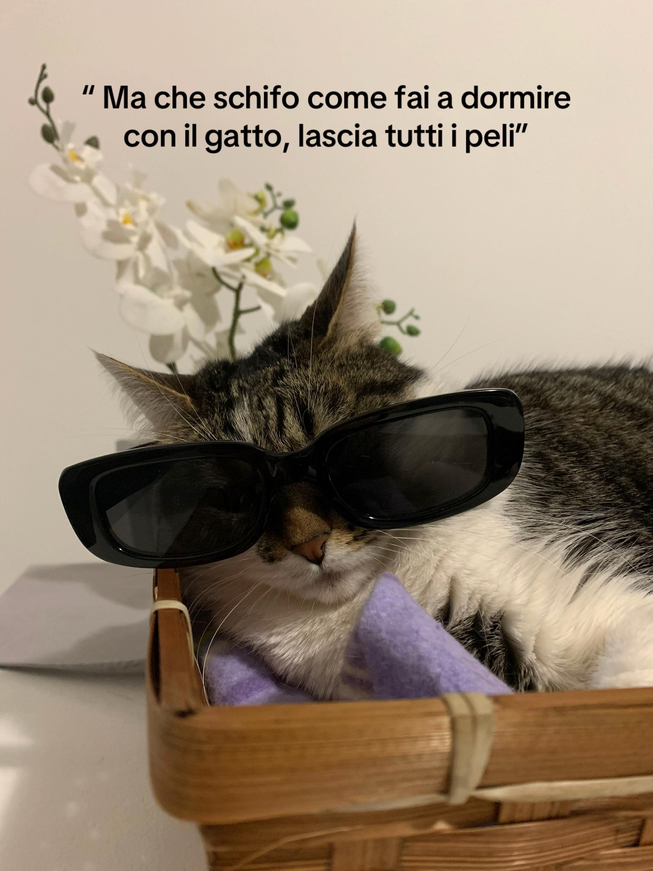 @🐆🐆