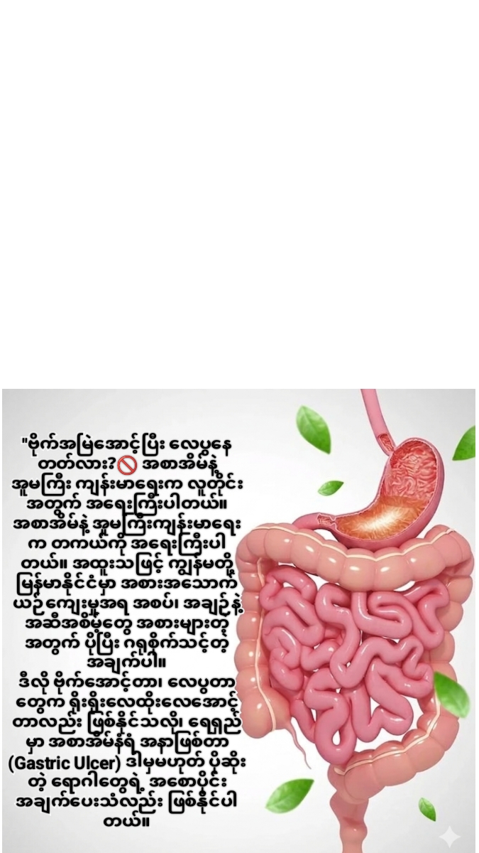@Nova Healthy Foods