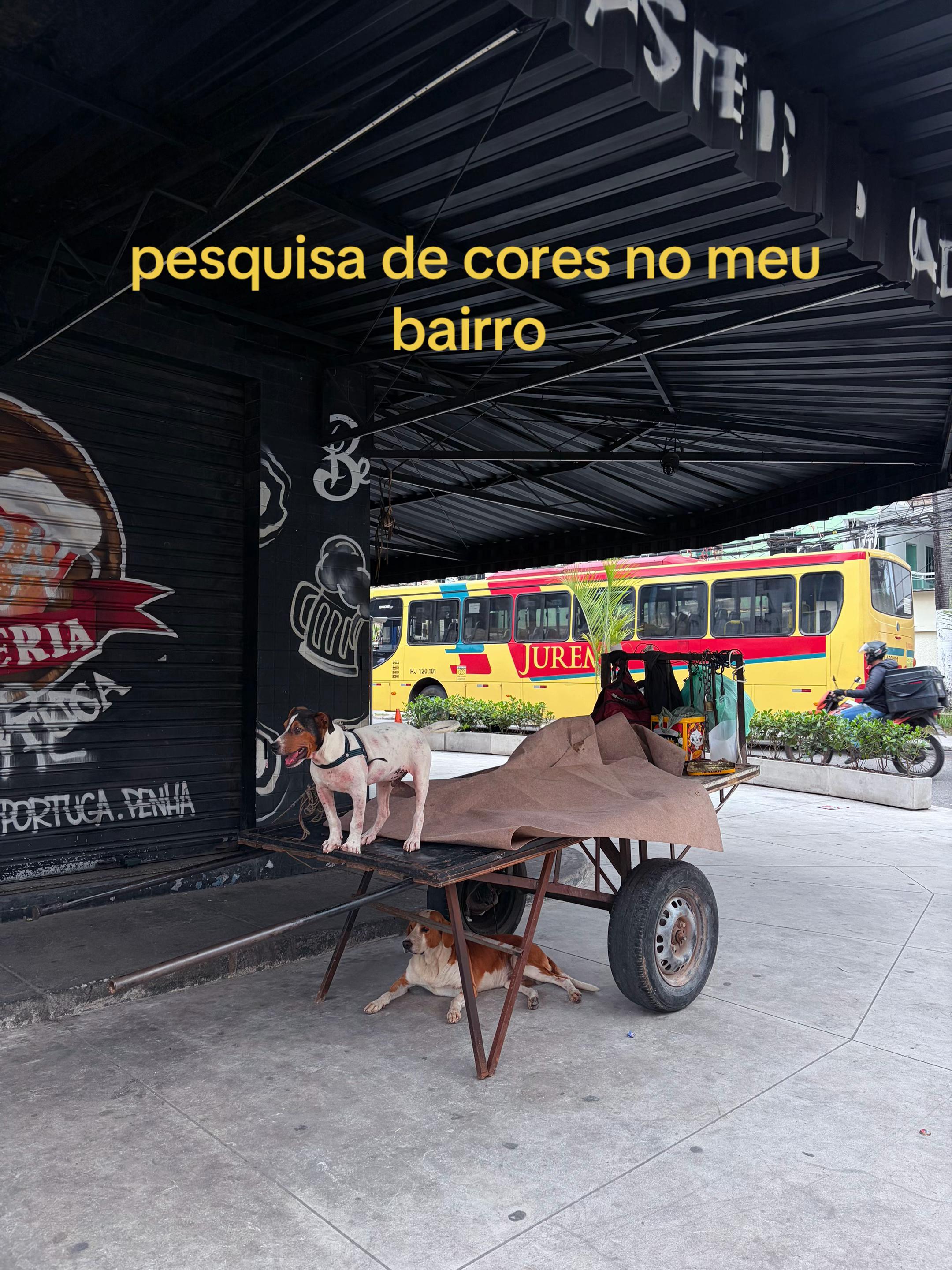 @ana beatriz ⭑