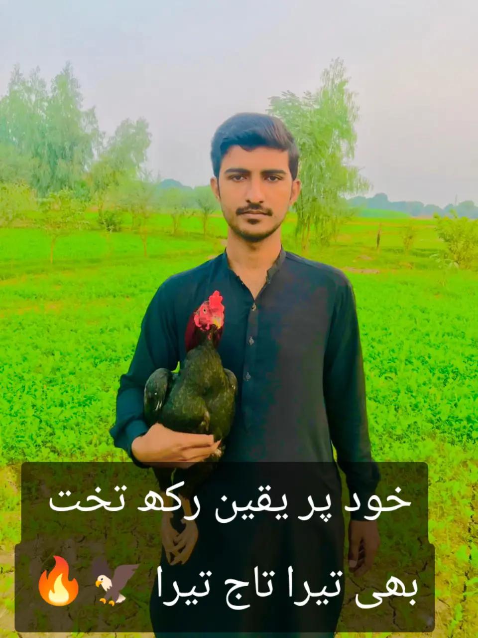 @kashifaseel2