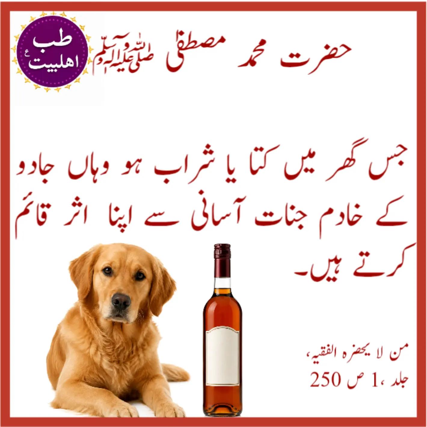 @طب اہلبیت ع