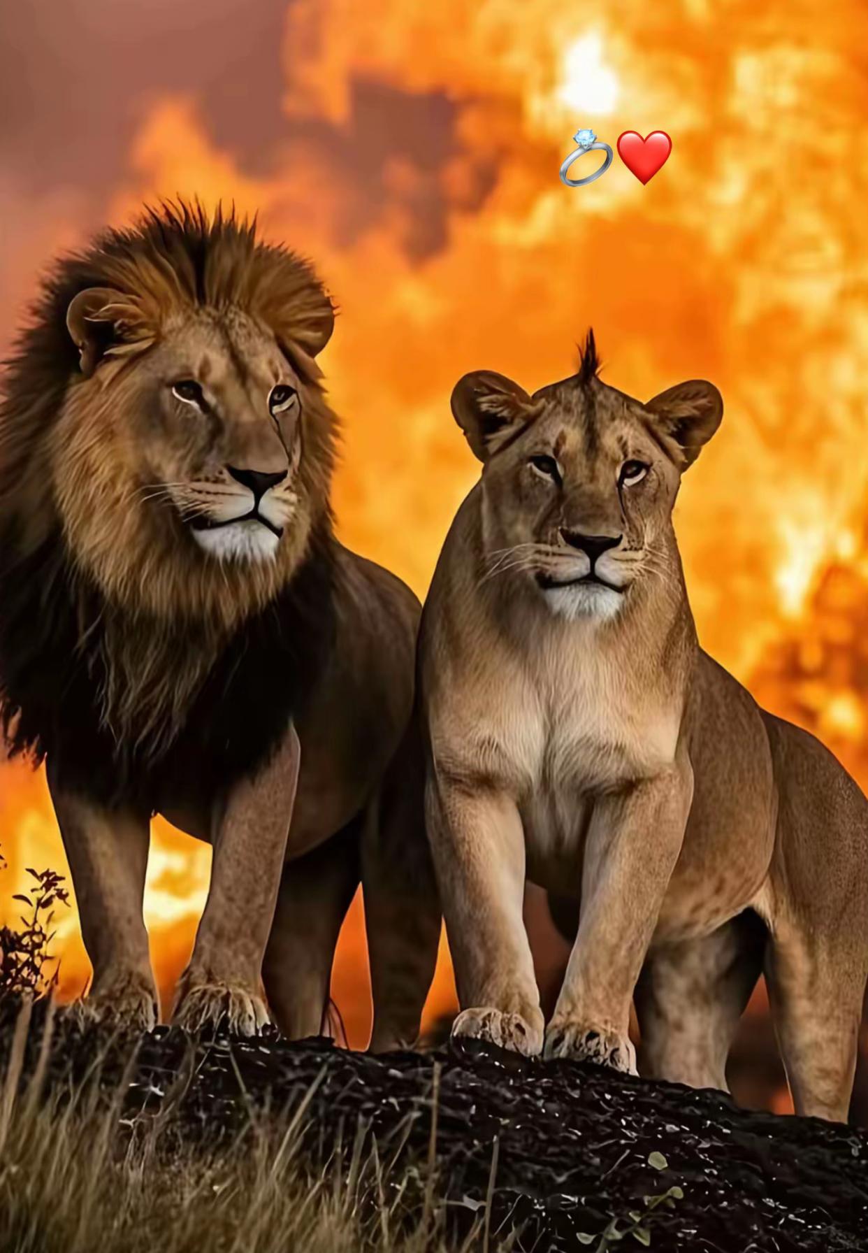 @Rāwāne Cløthįıng
