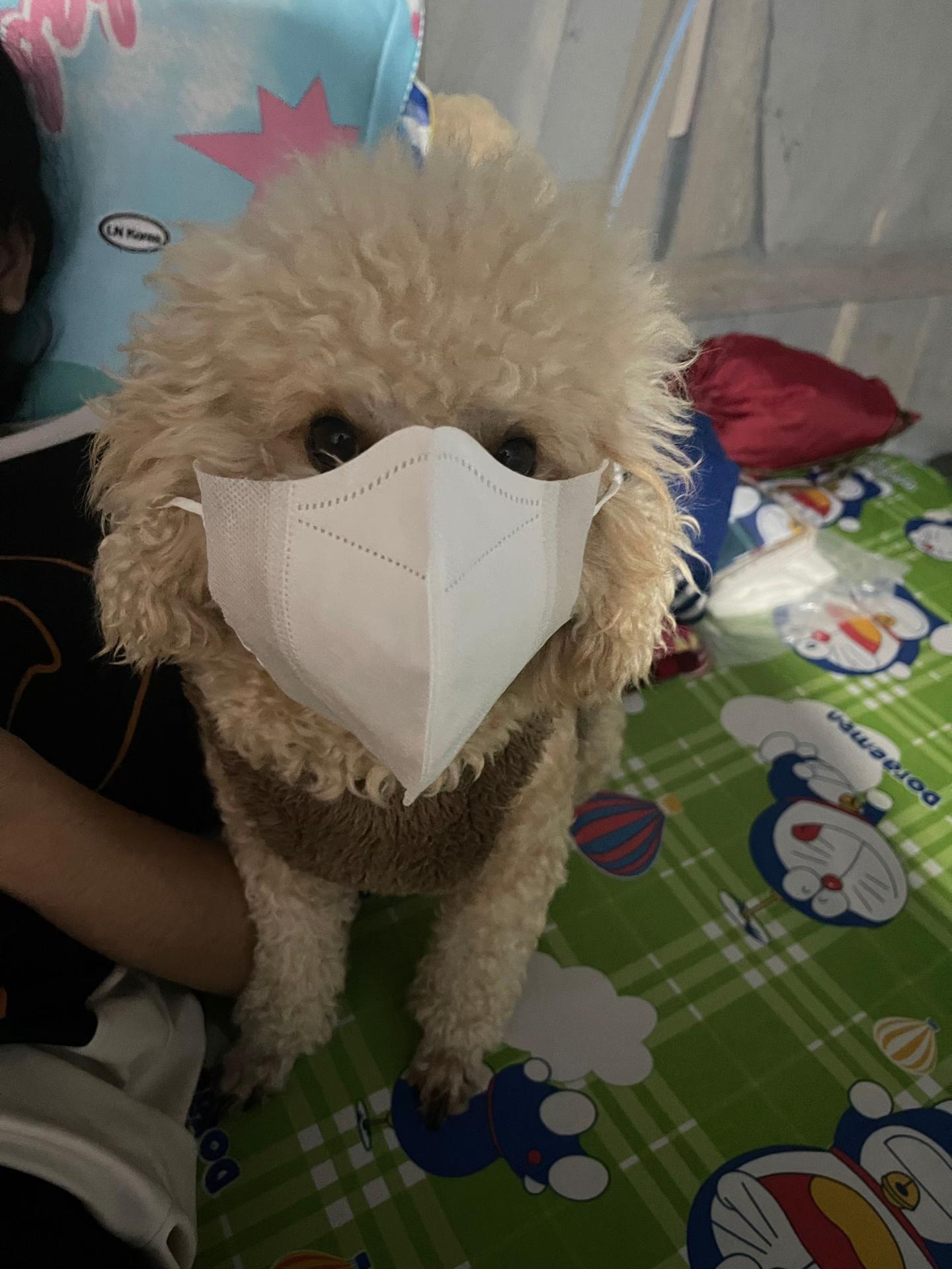 @L&ecirc; diễm hồng