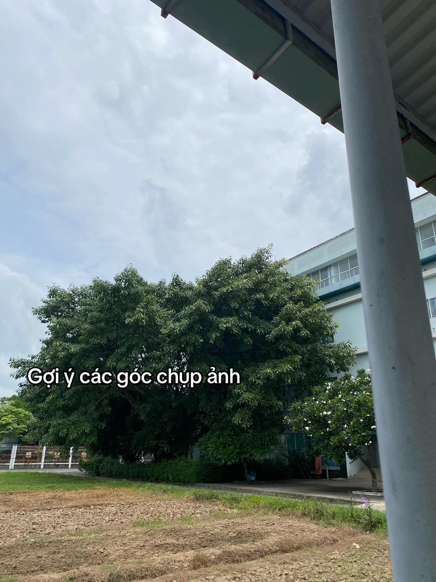 @chang