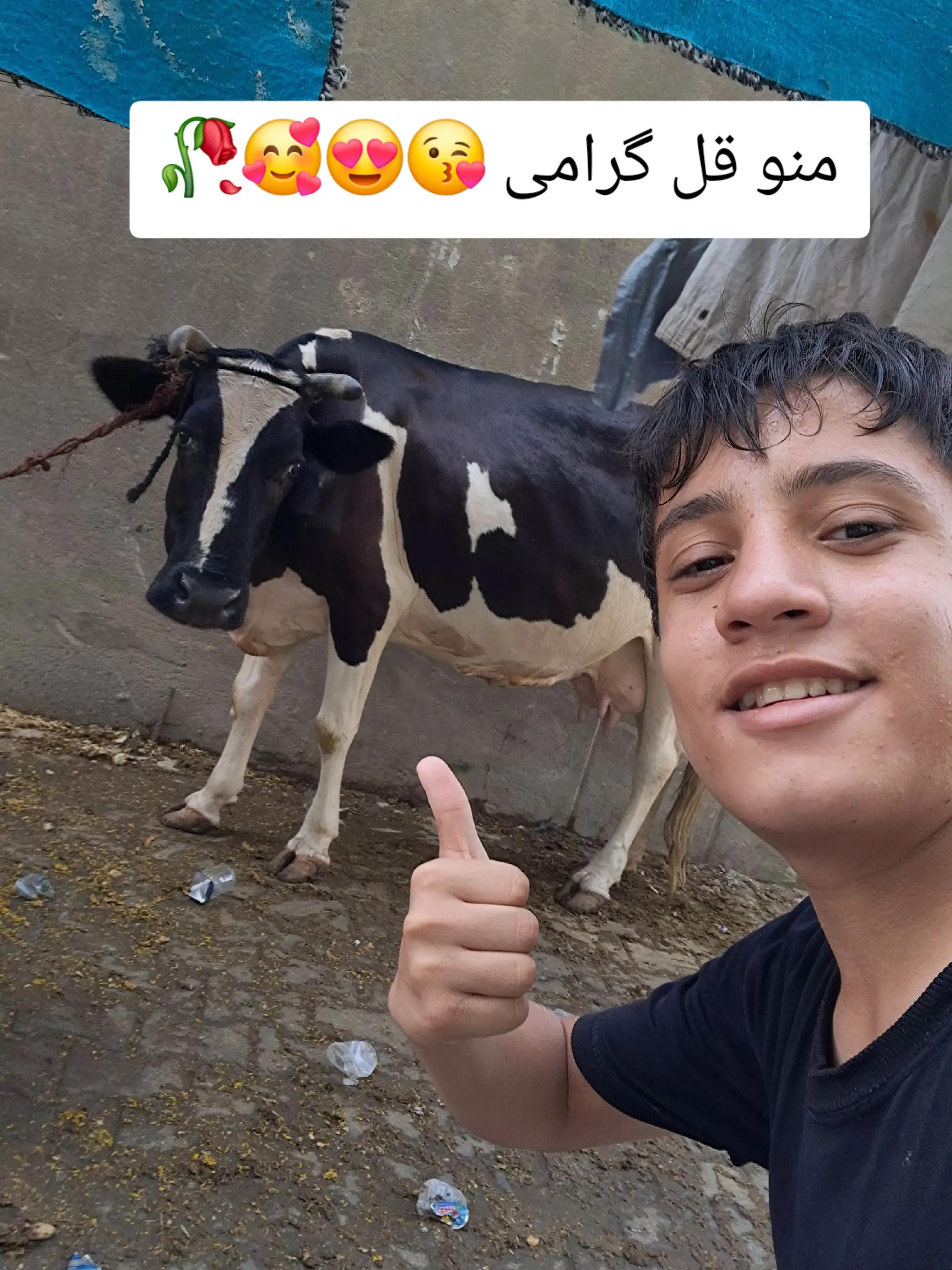 @MOHSEN