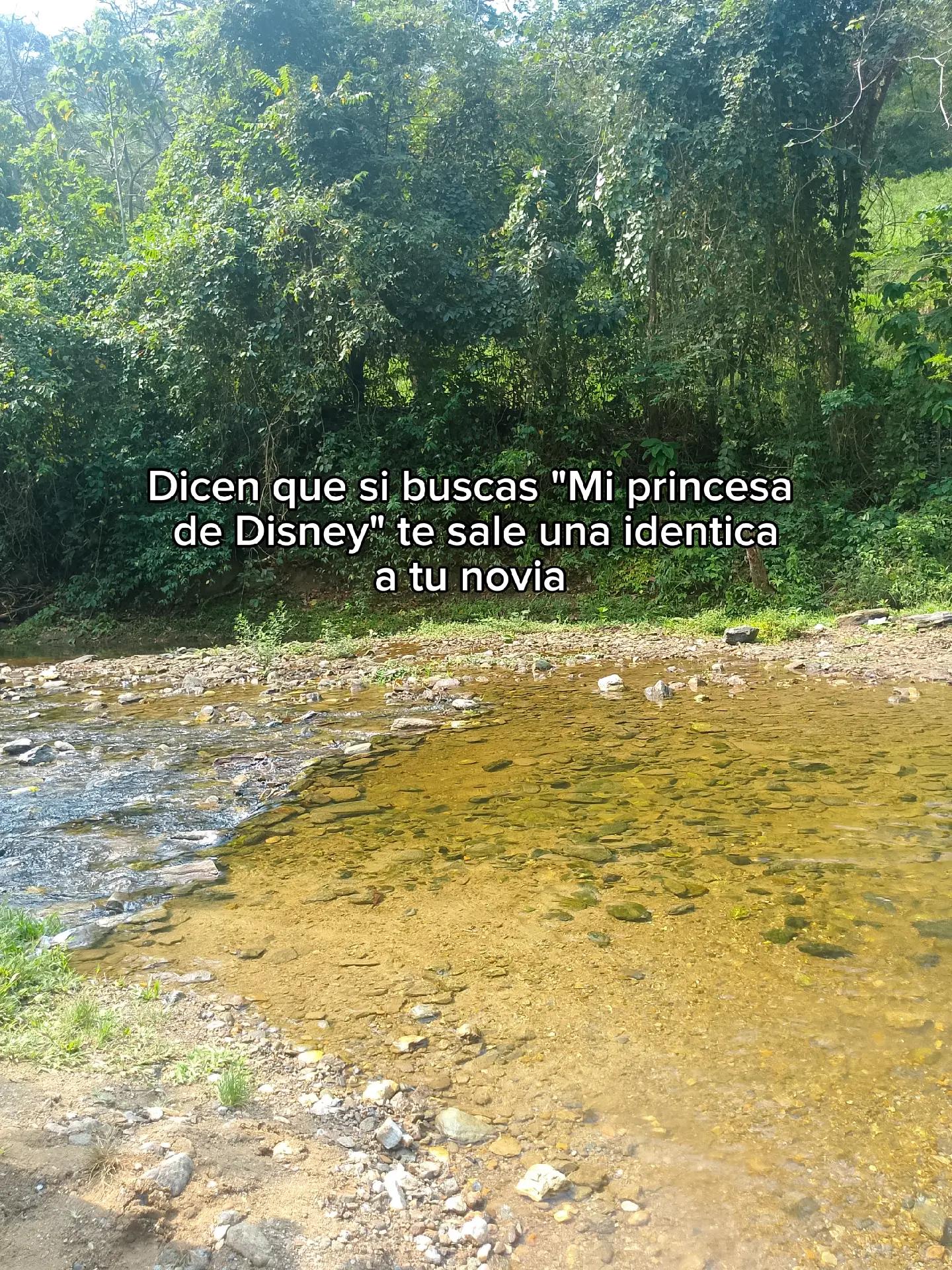 @Danii