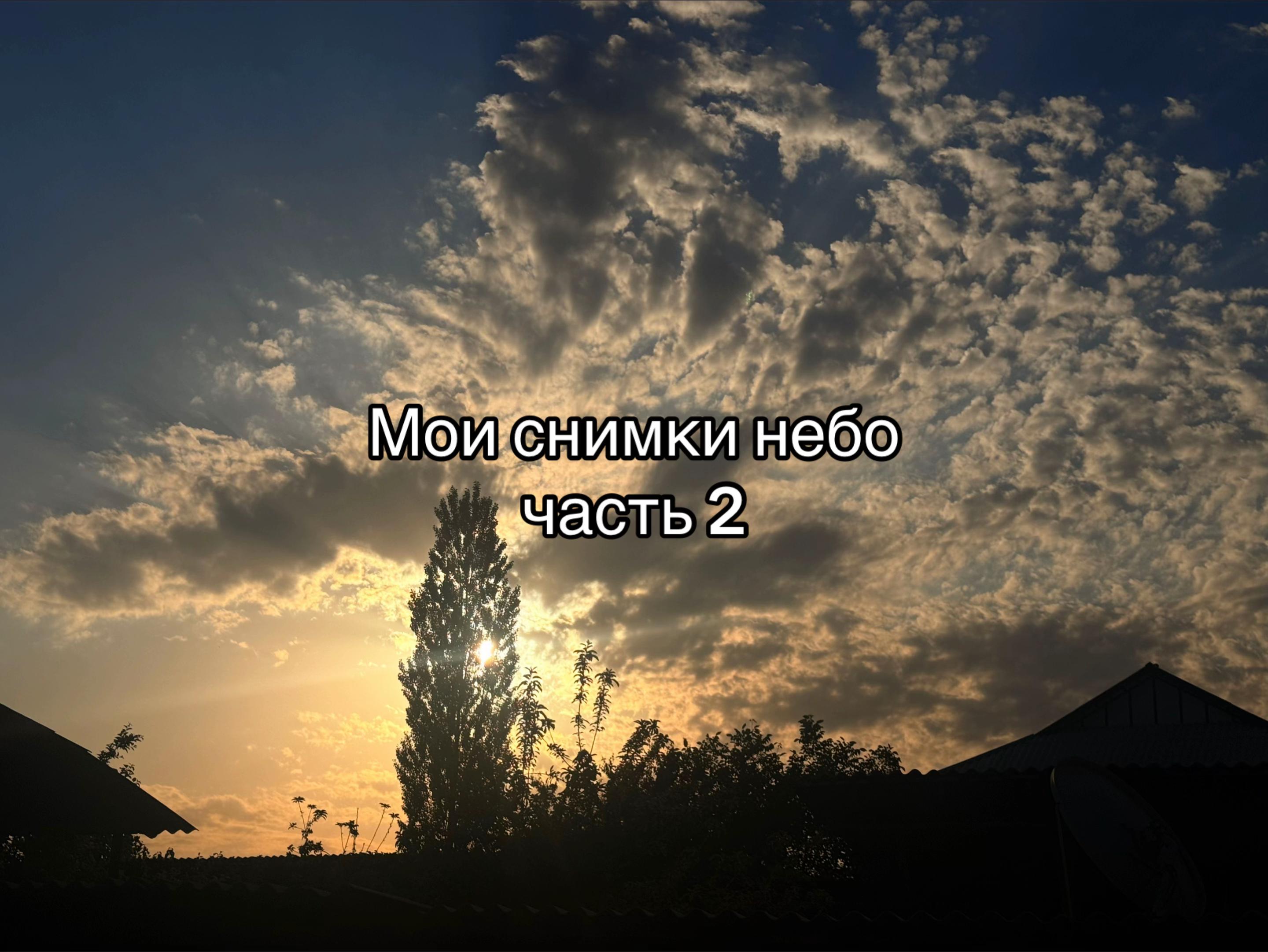 @ᴡᴀɴᴛᴀʙᴇ.ꜰꜰ