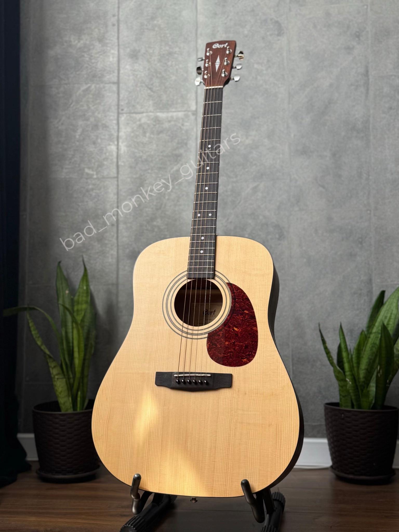 @Bad Monkey Guitars