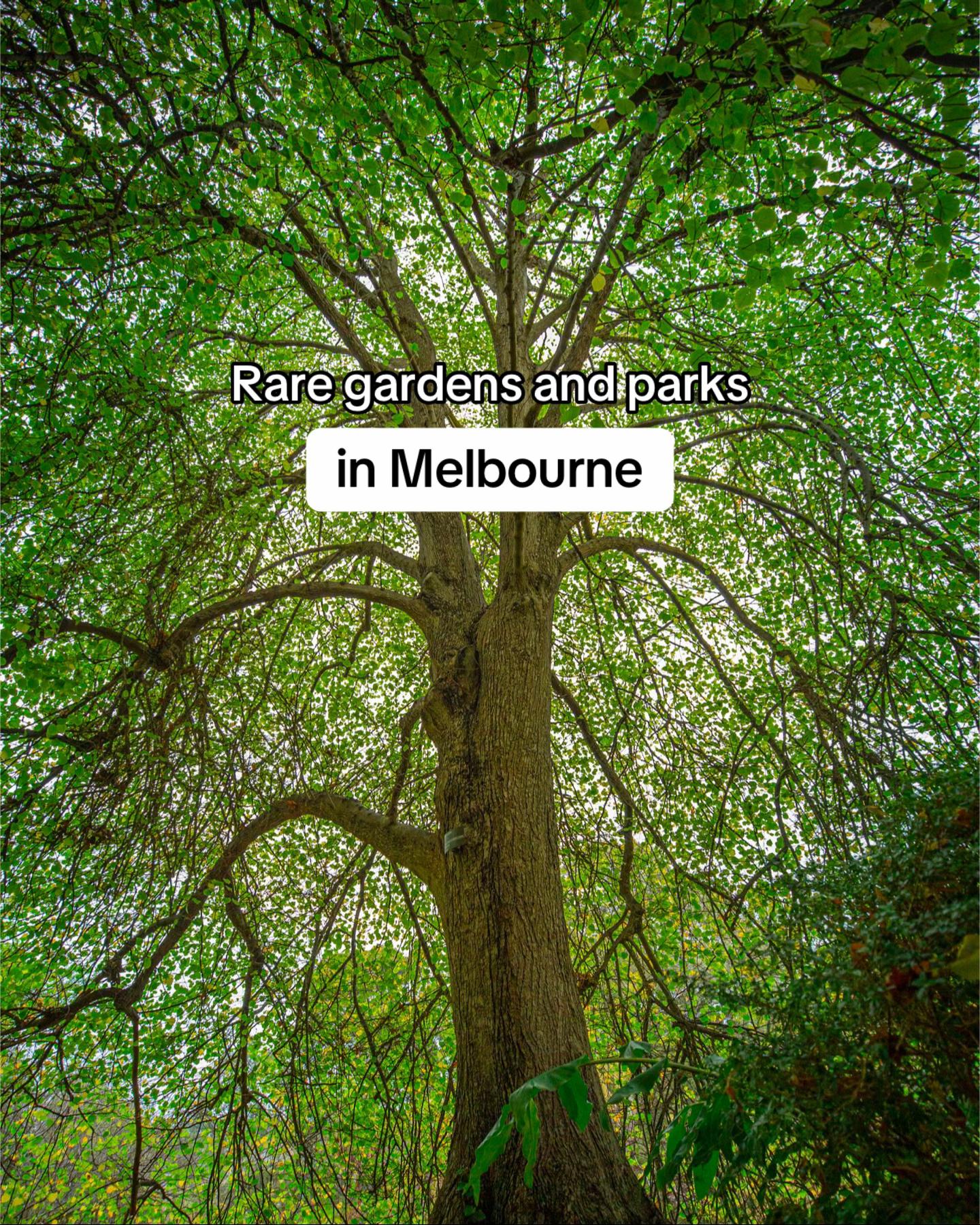 @What's On Melbourne