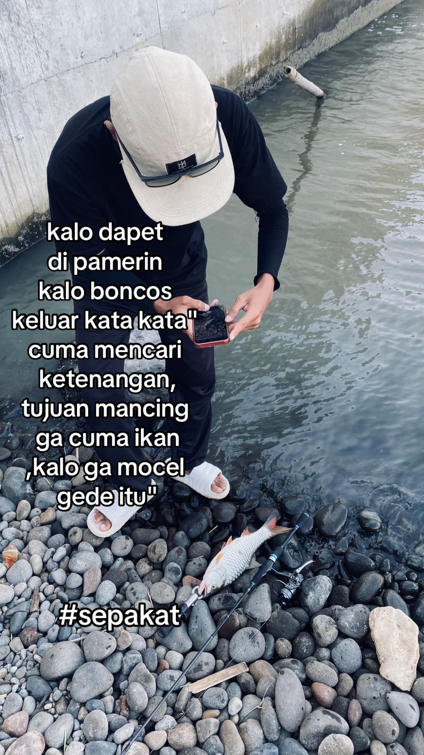 @alip