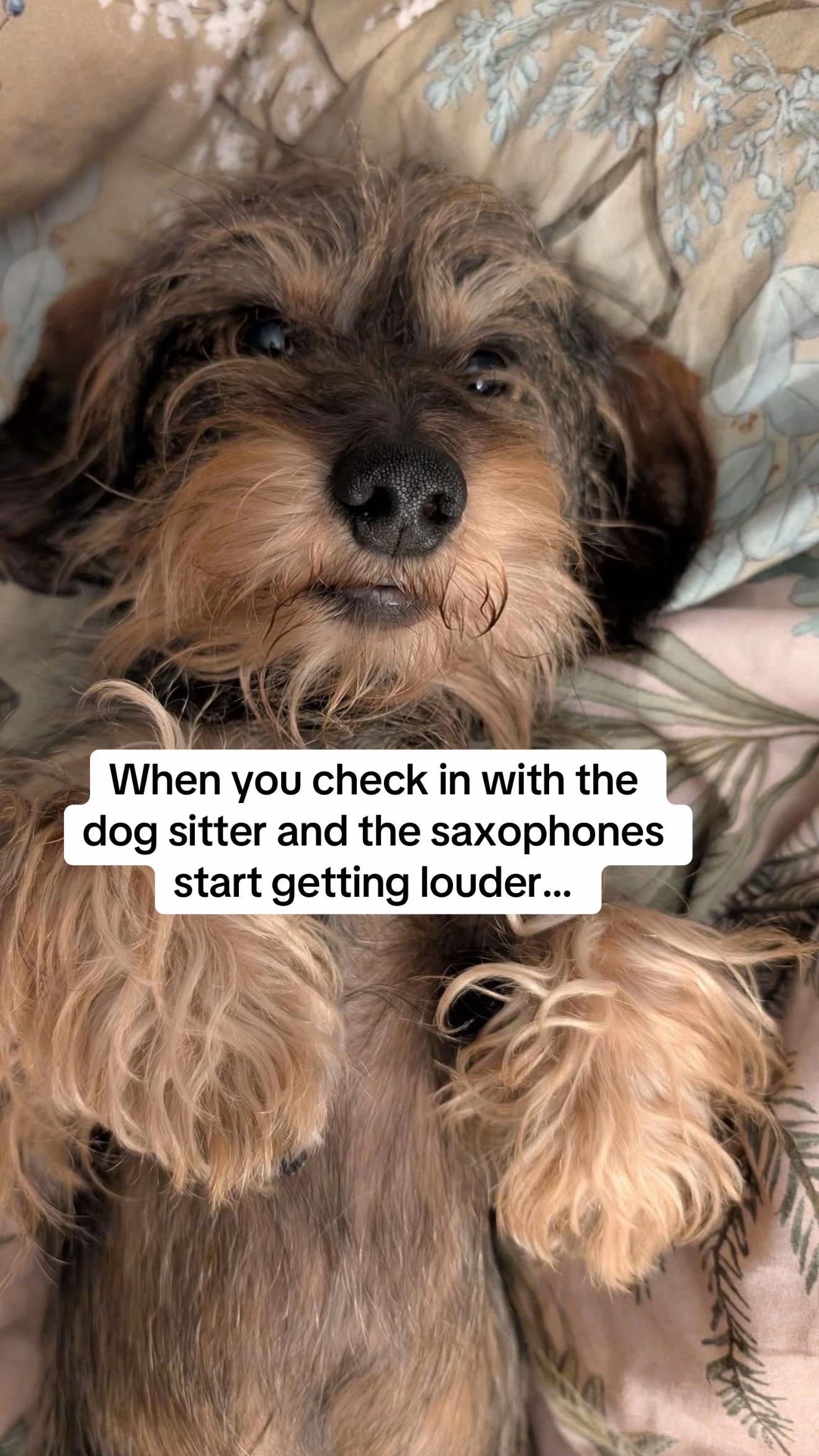 @Meg ๐๐