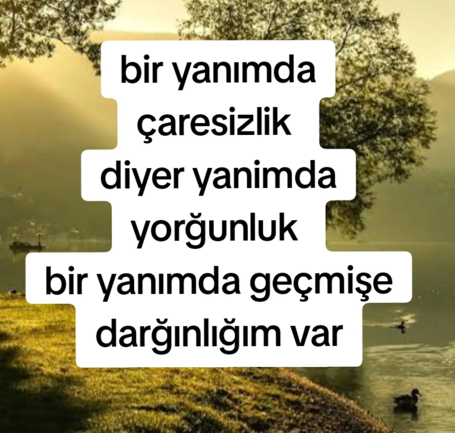 @sevim