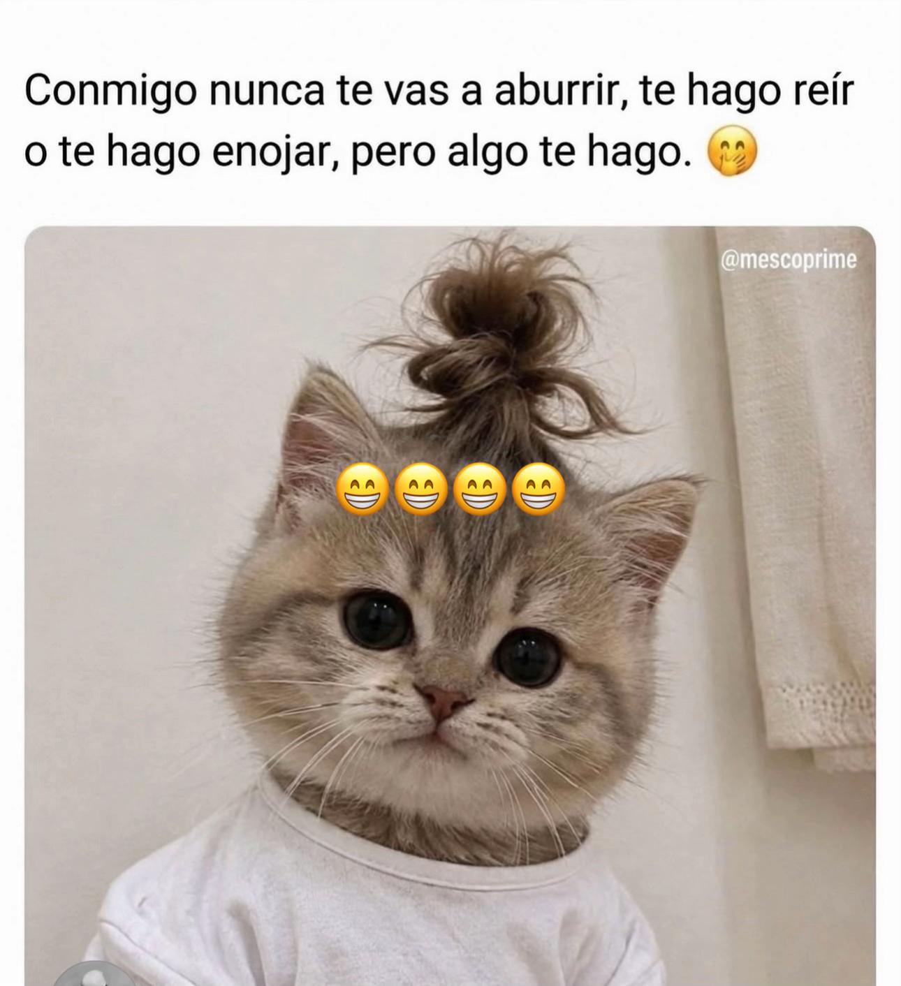 @Arauz Daysi
