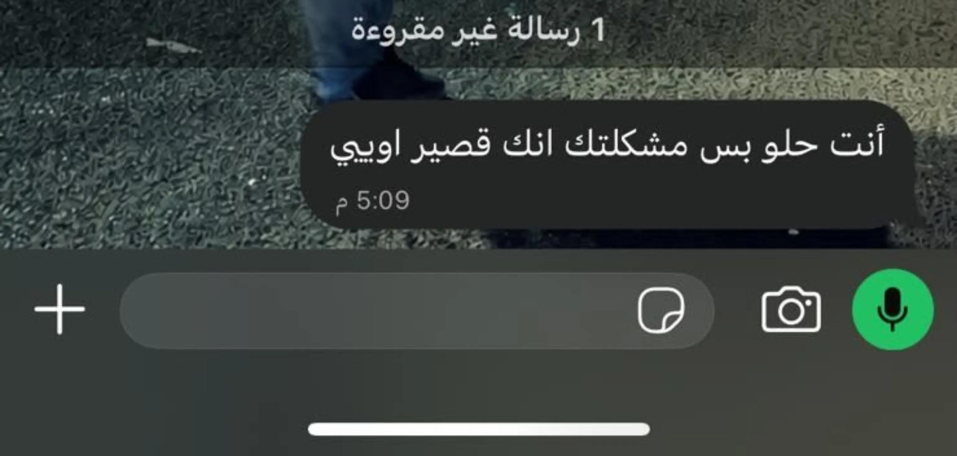 @إلنــــ😜ـــون//𝑬𝑳𝑵𝑶𝑵&bull;