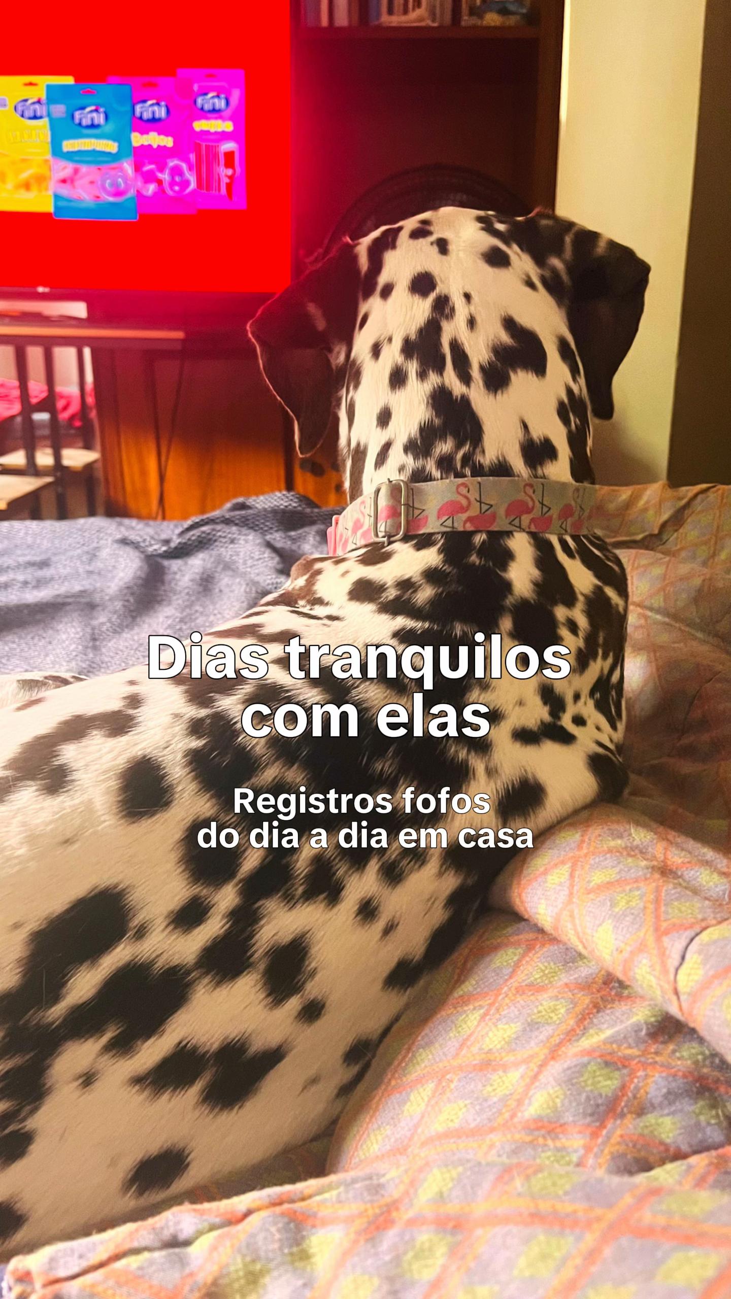 @Margô e Jude