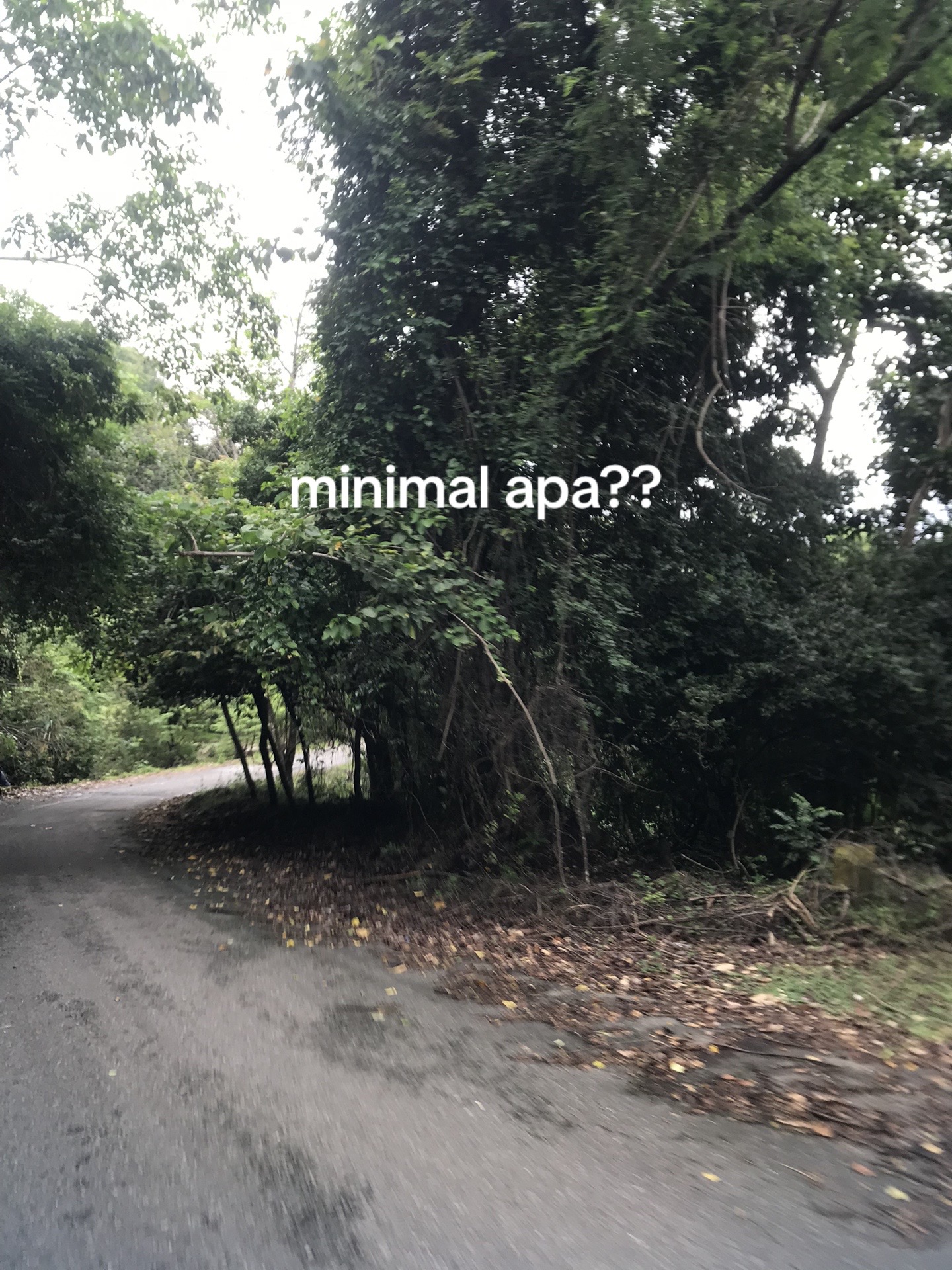 @mas.a
