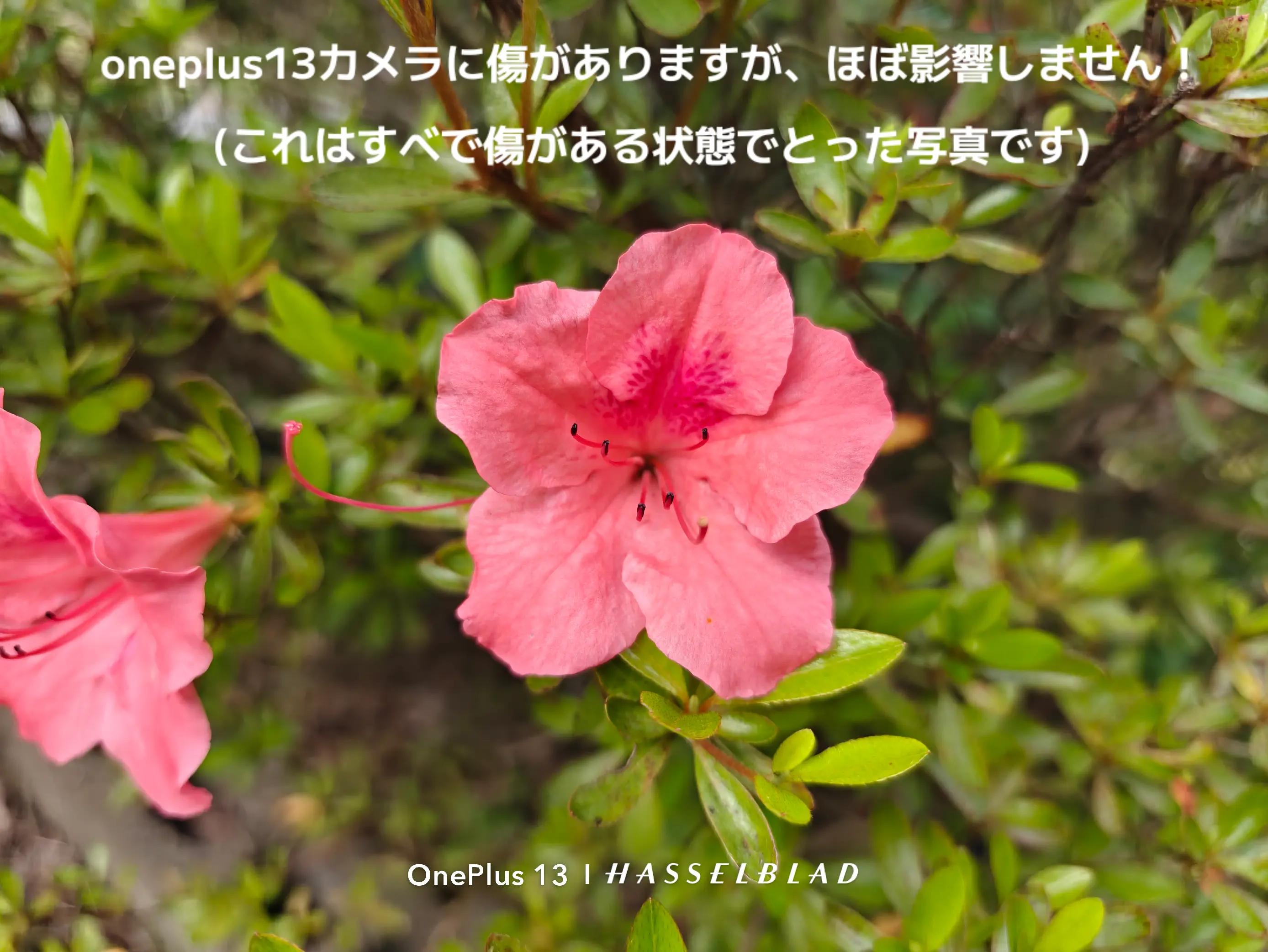 @SopoheTECH×oneplus 13