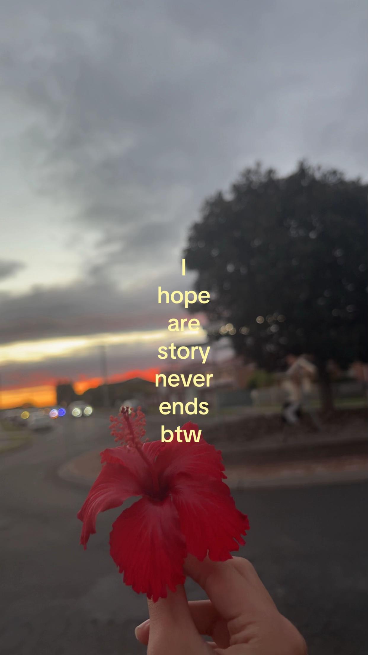 @๐ฃ๐ค