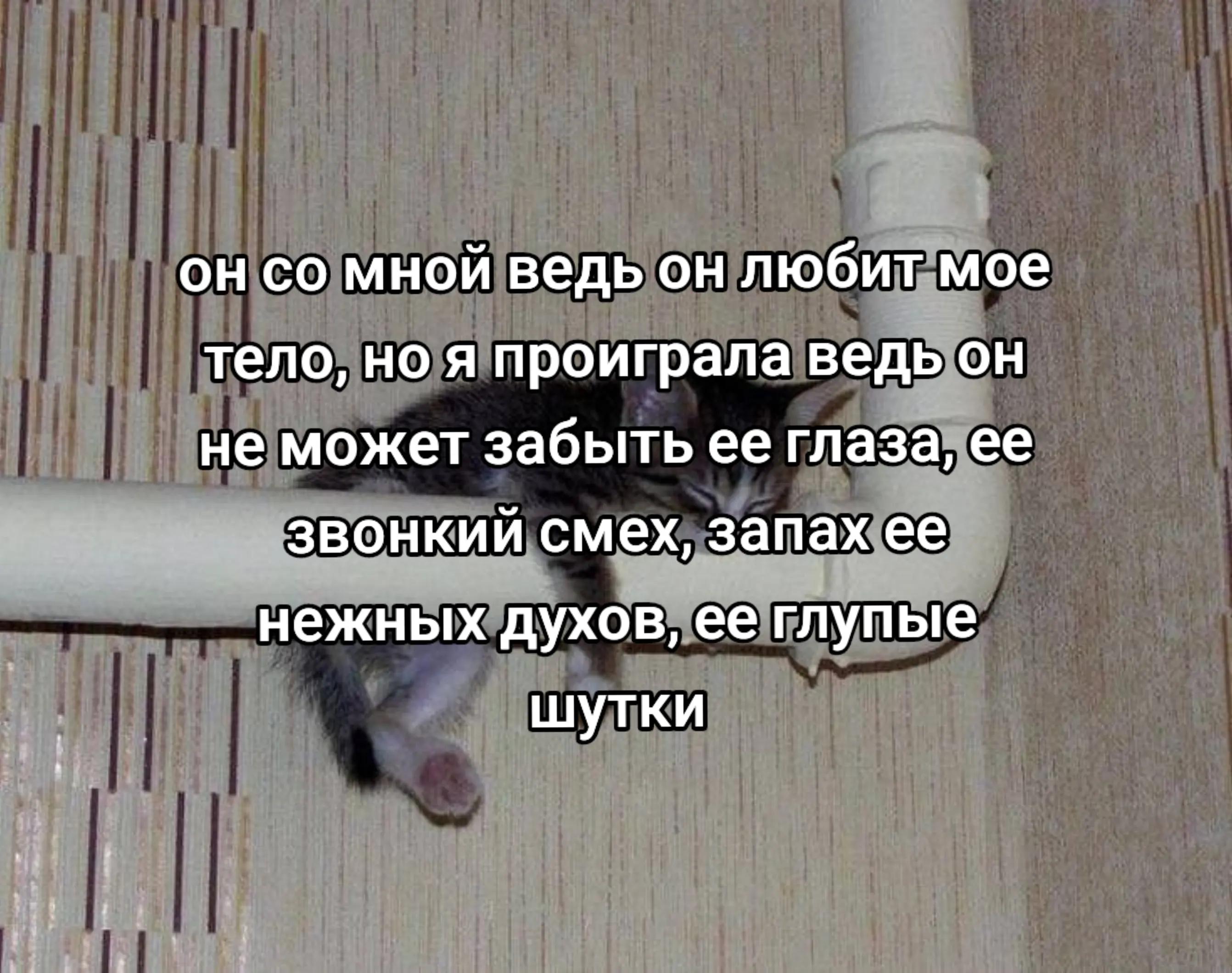 @kaffka