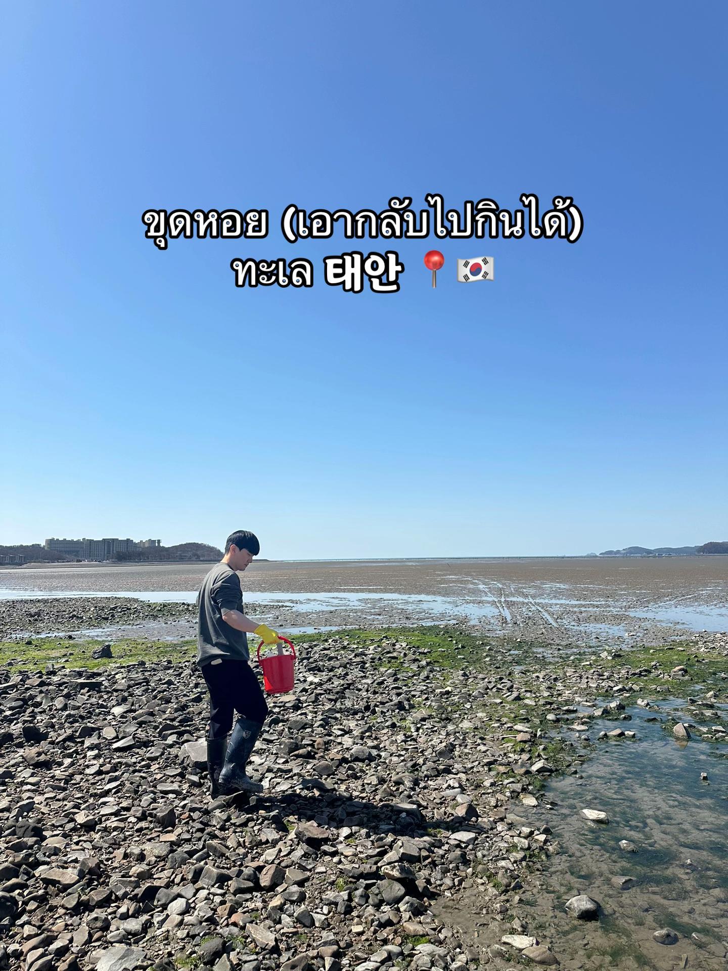 @melody